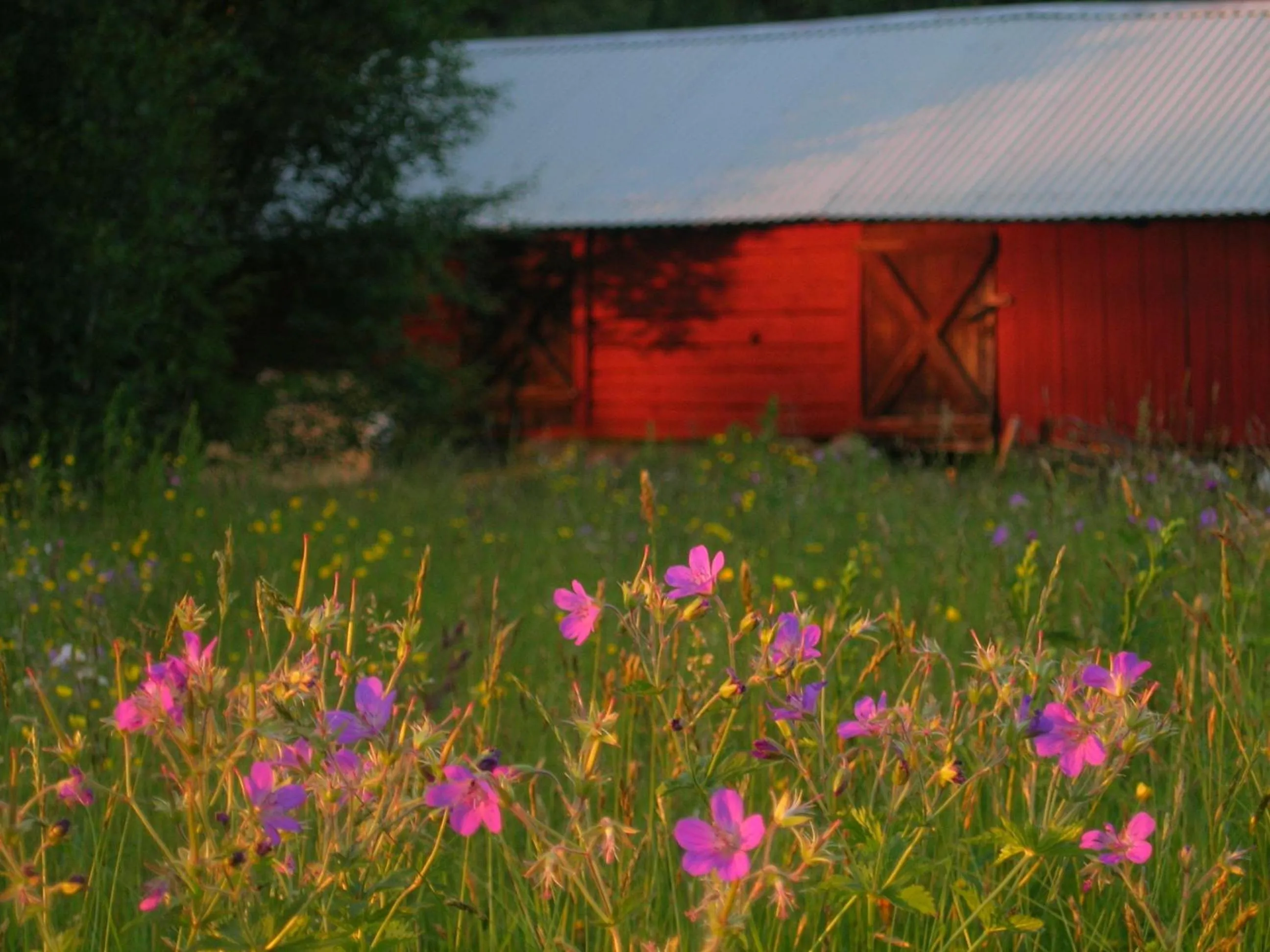 Property building in Stora Björnstugan
