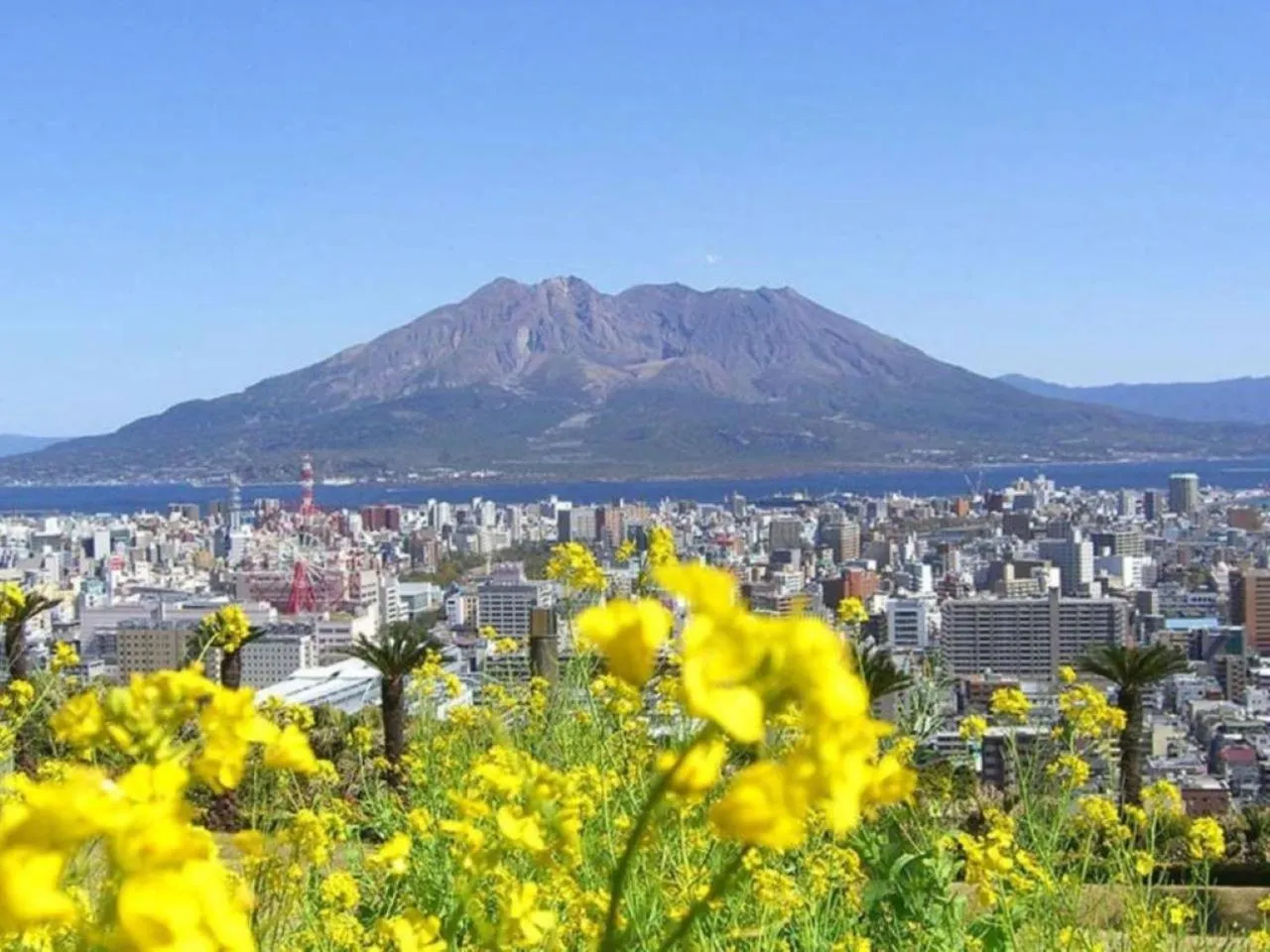Nearby landmark in Hotel Gate In Kagoshima