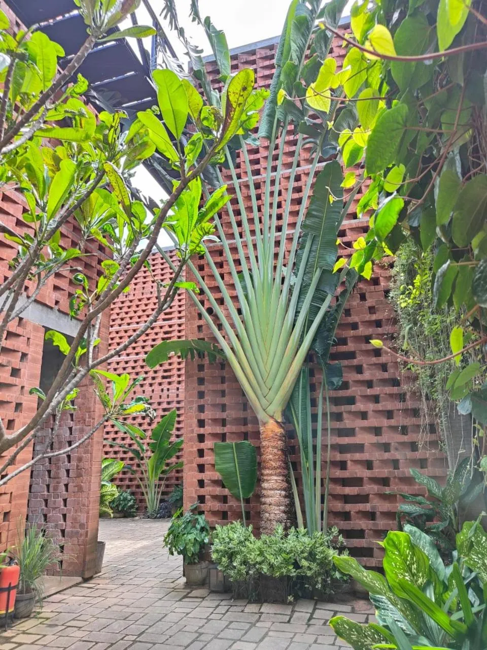 Garden in Sengal Boutique Hotel