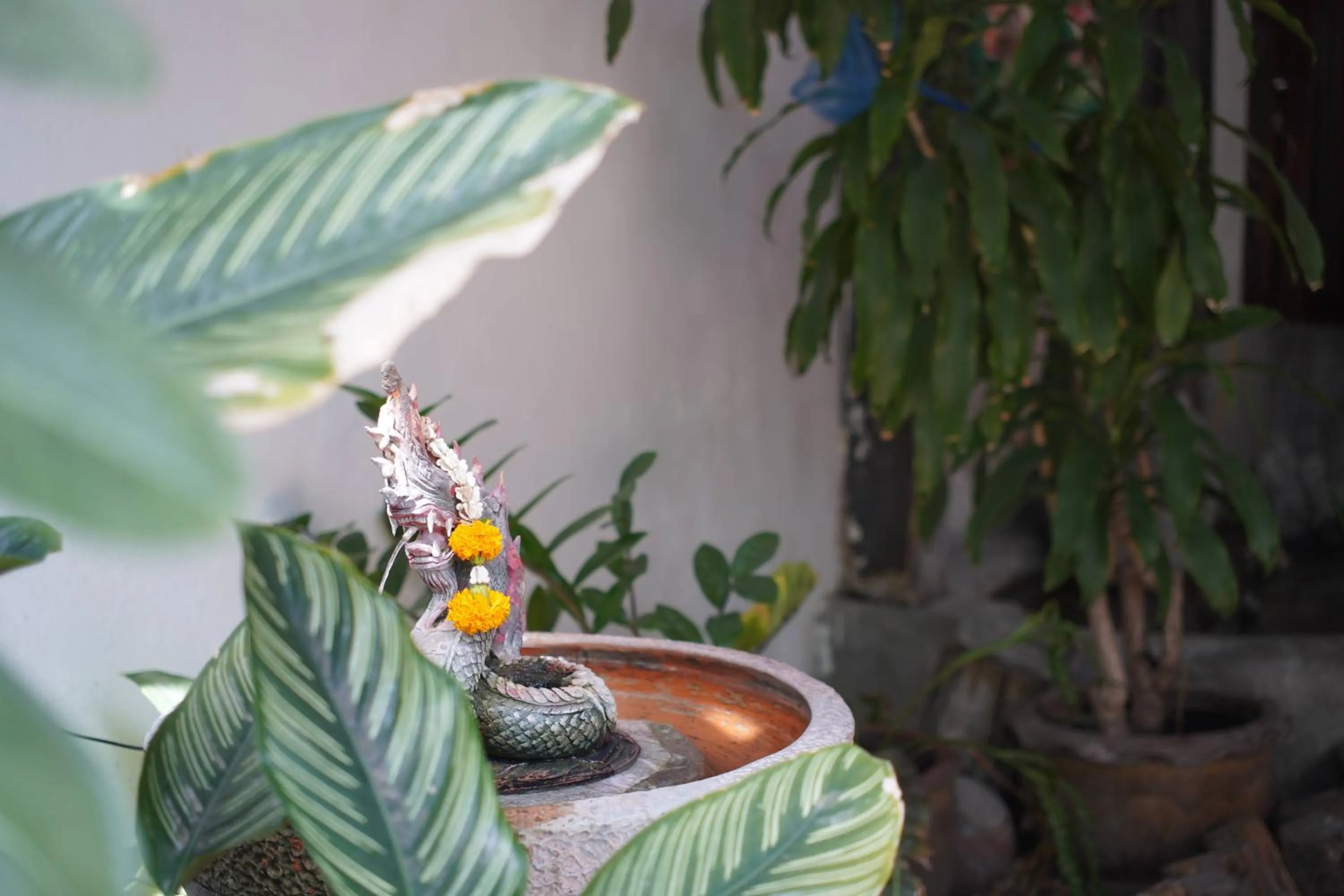 A House Boutique Guesthouse