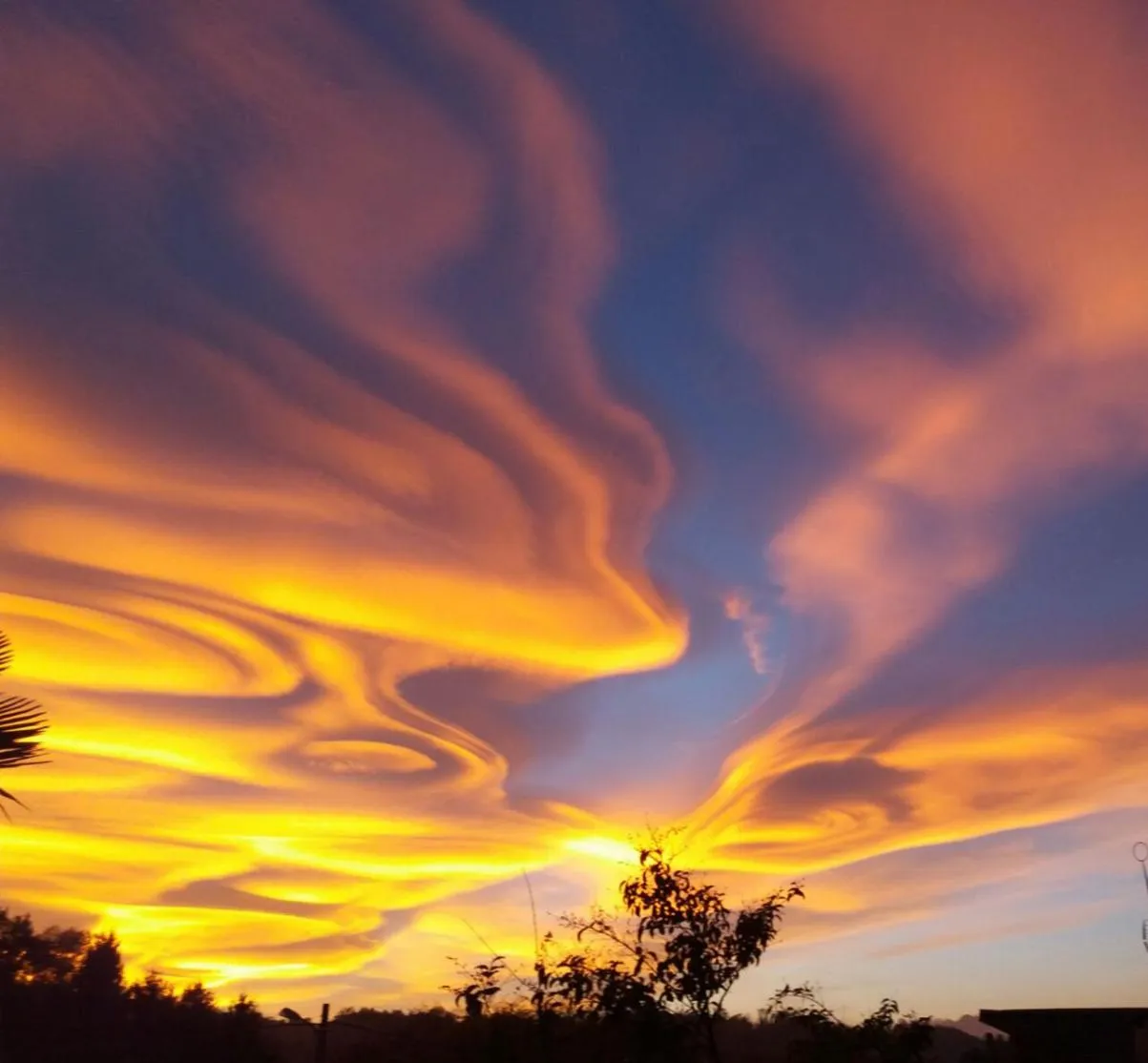 Natural landscape in Timo e Rosmarino