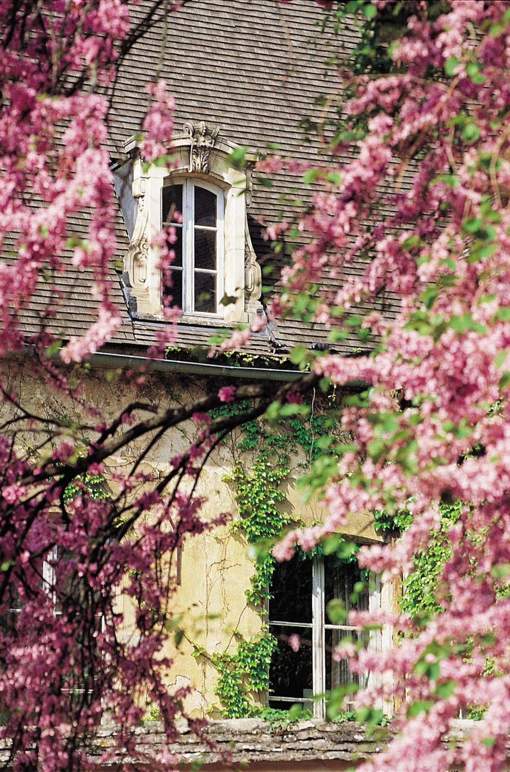 Facade/entrance in Résidence VTF Les Allées du Green