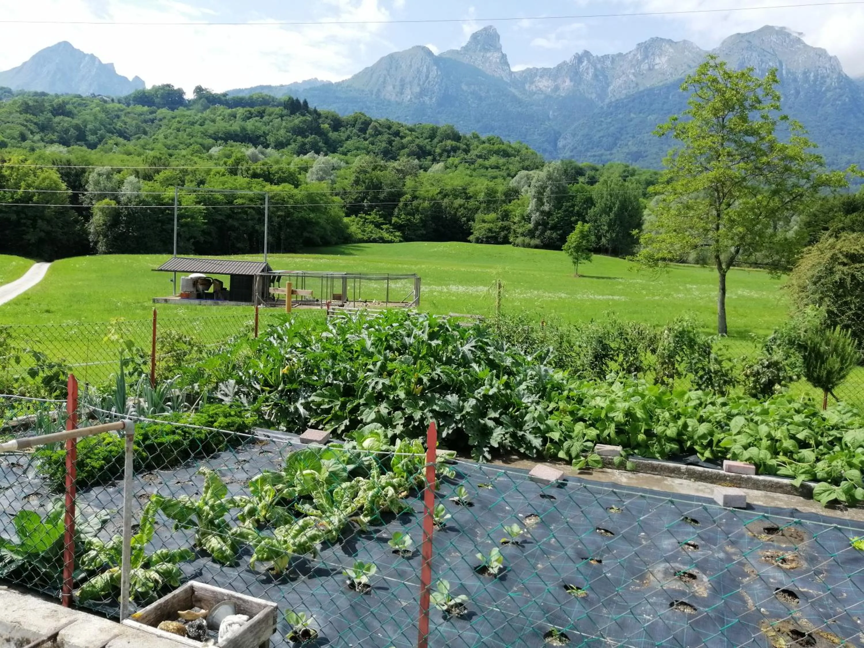 Natural landscape in B&B La casa di Loretta