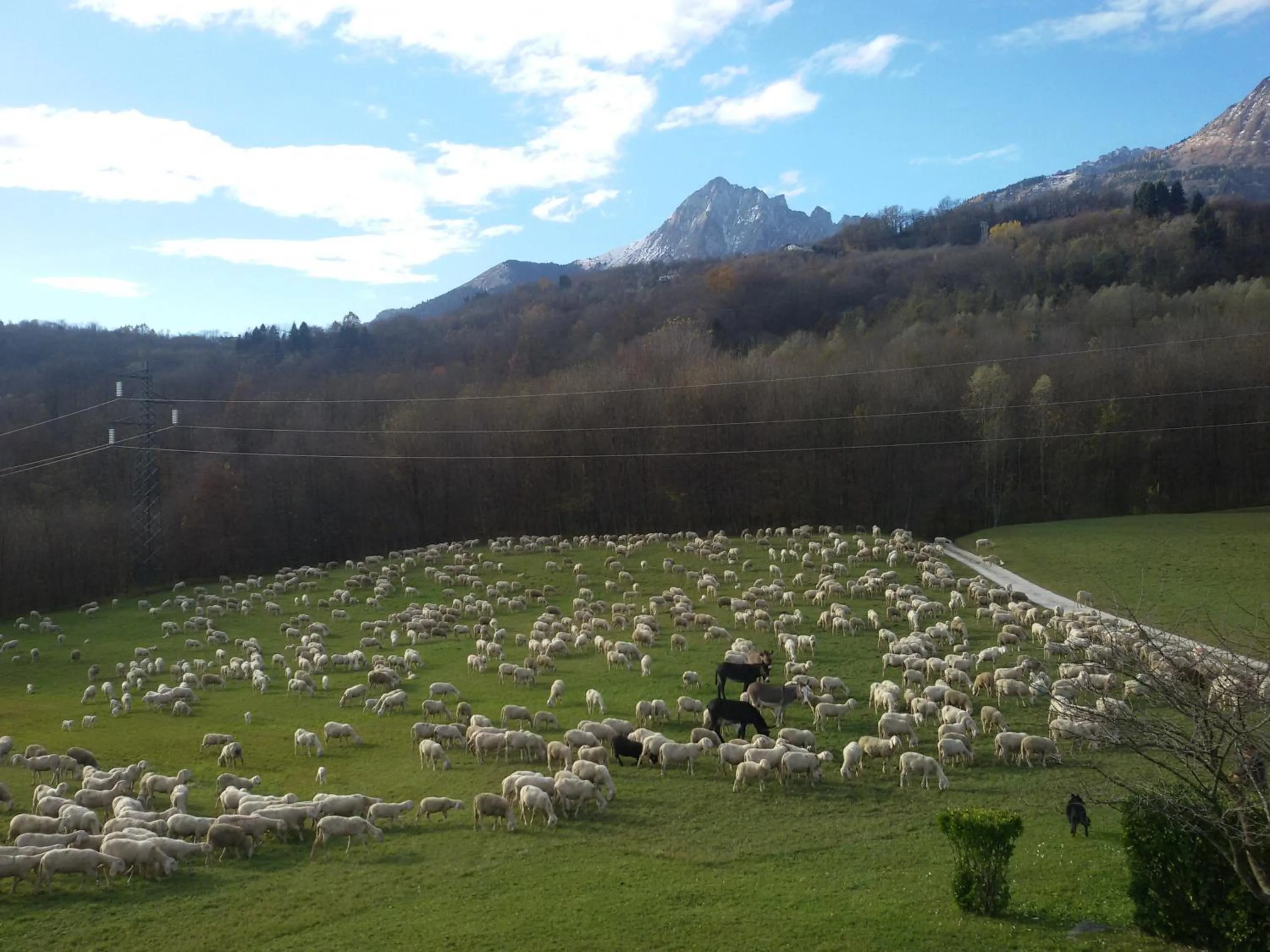 Natural landscape in B&B La casa di Loretta