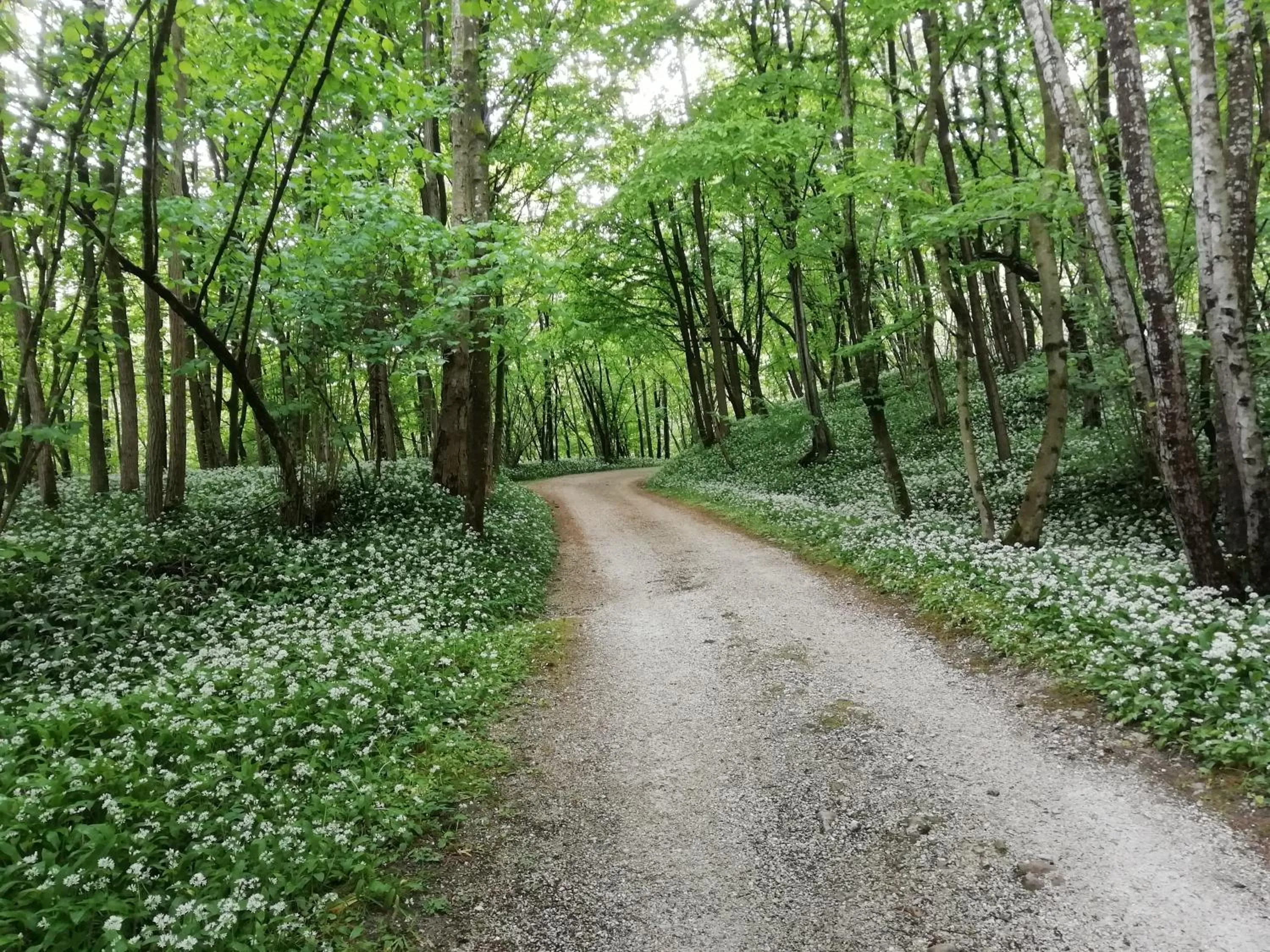 B&B La casa di Loretta