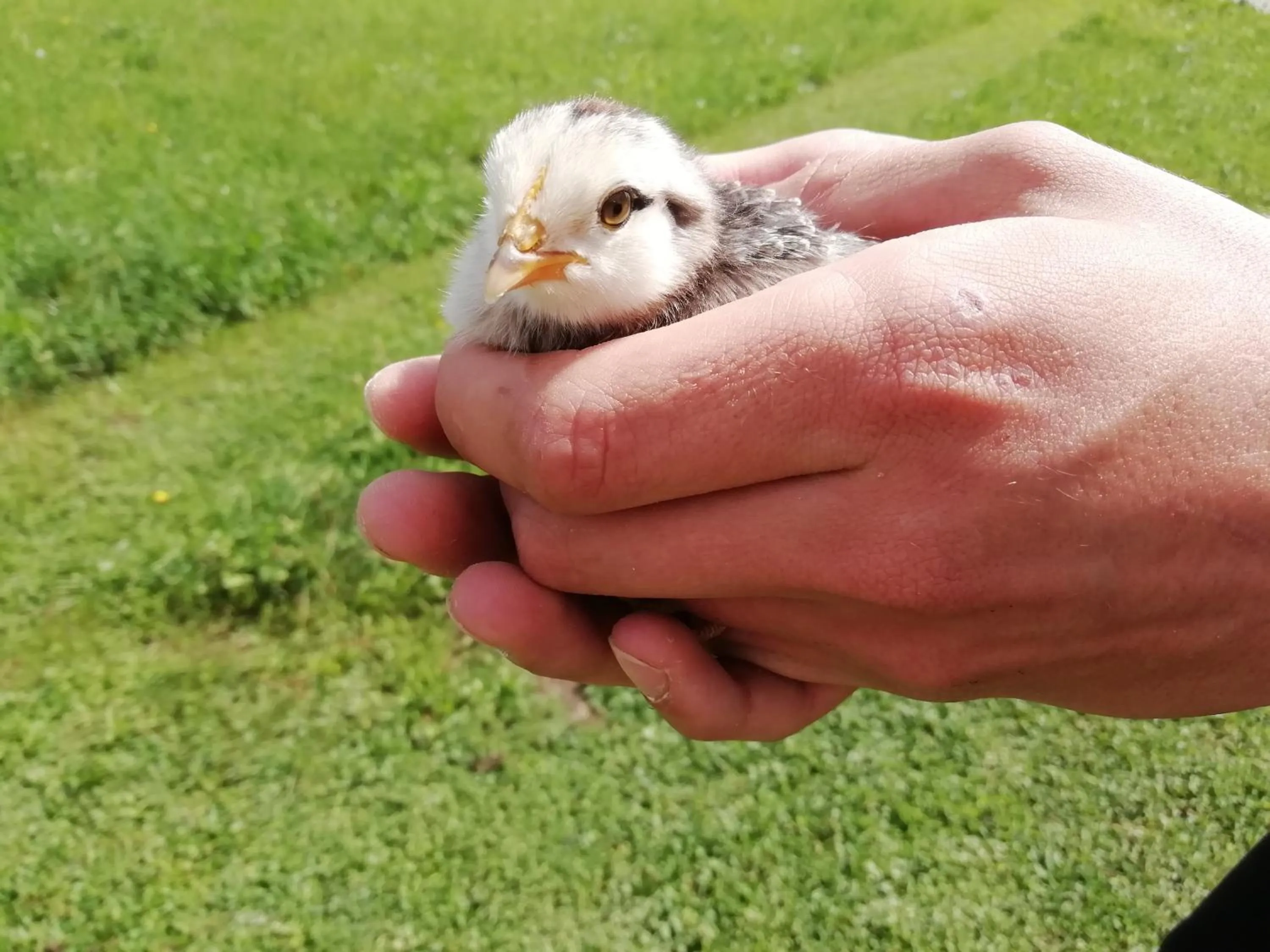 B&B La casa di Loretta