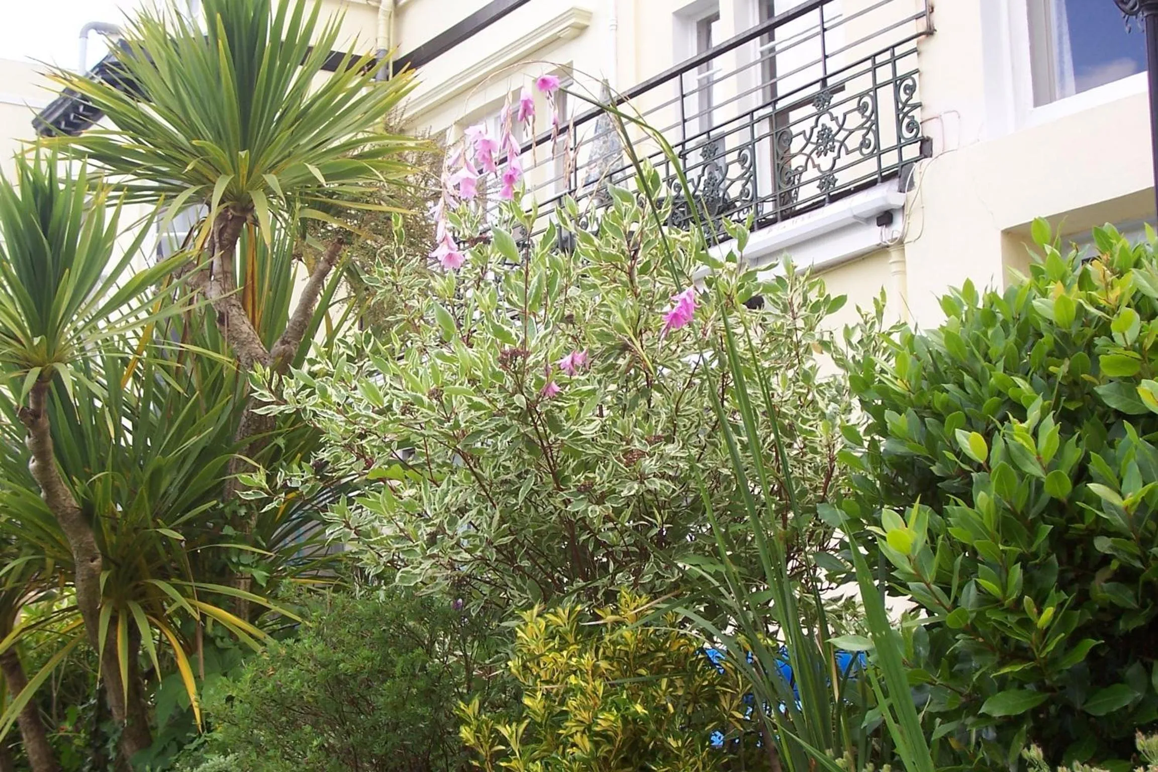 Garden in Ashwood Grange