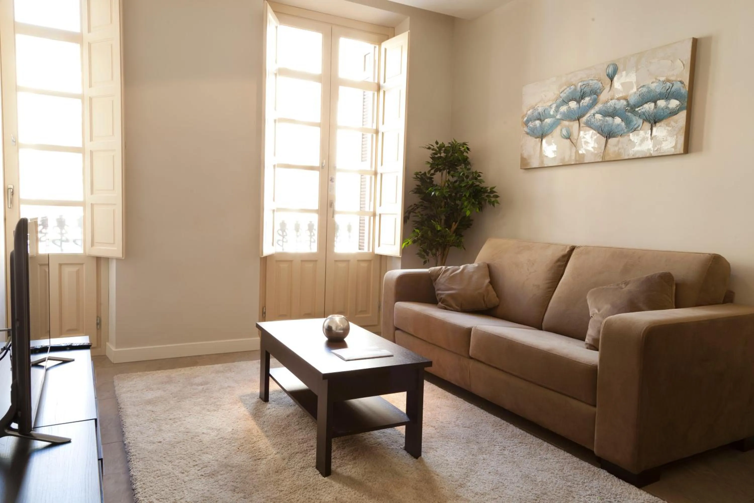 Living room in Apartamentos Pinar Malaga Centro