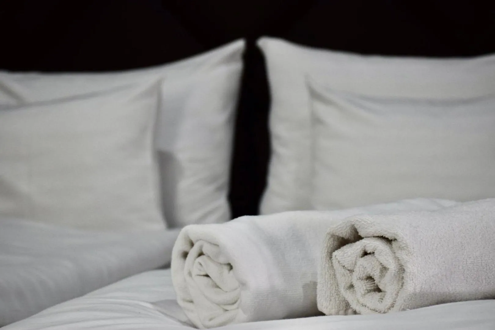 towels in Hotel Lotus