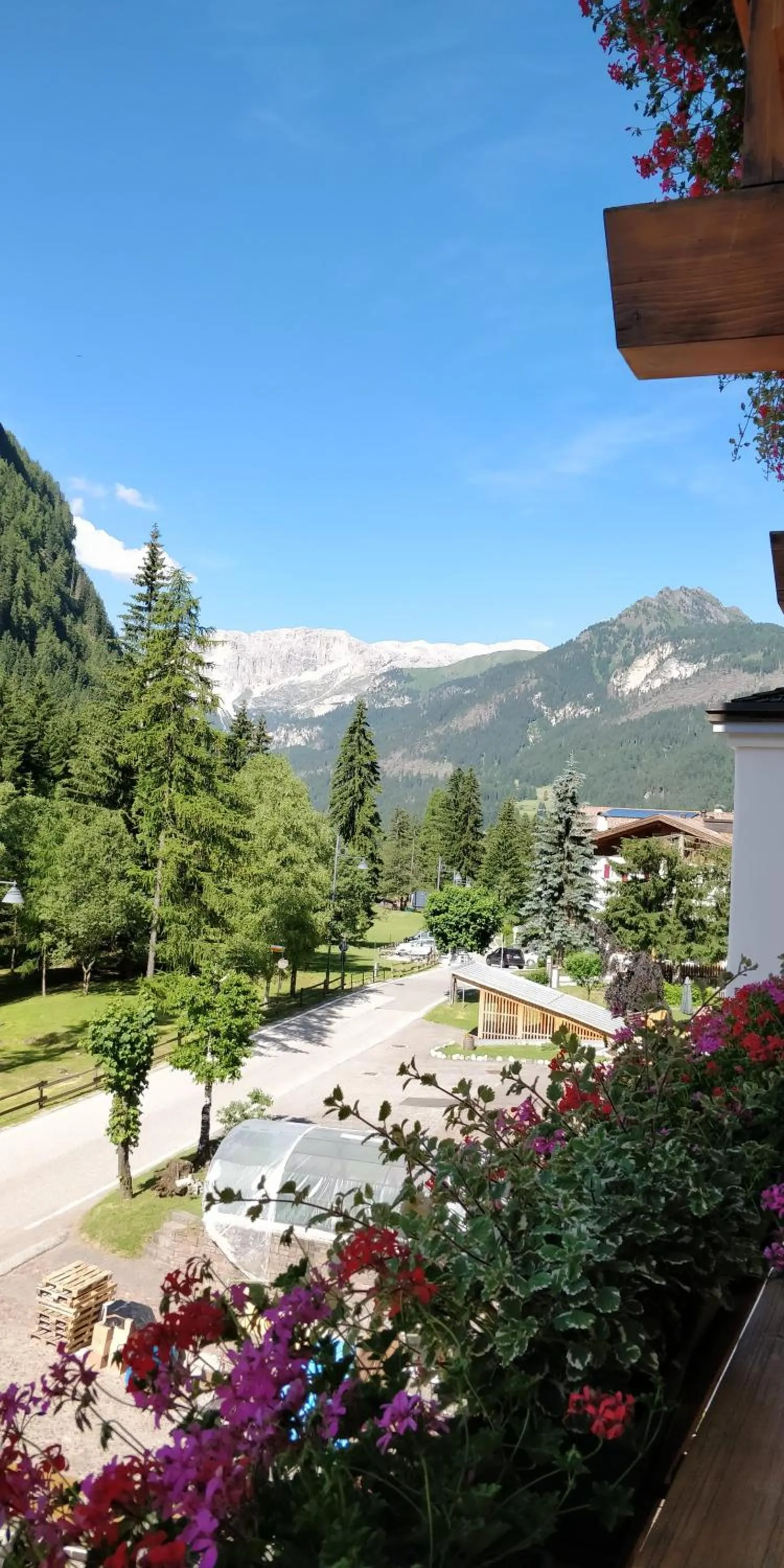 Mountain view in Hotel Engel