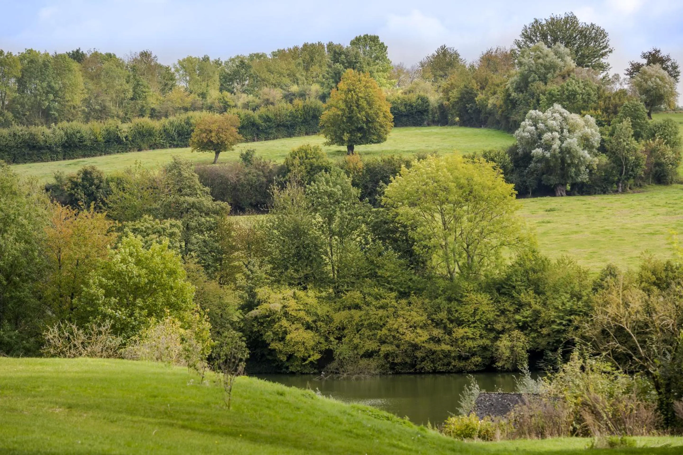 Neighbourhood in Les Lavandières de Fontaine