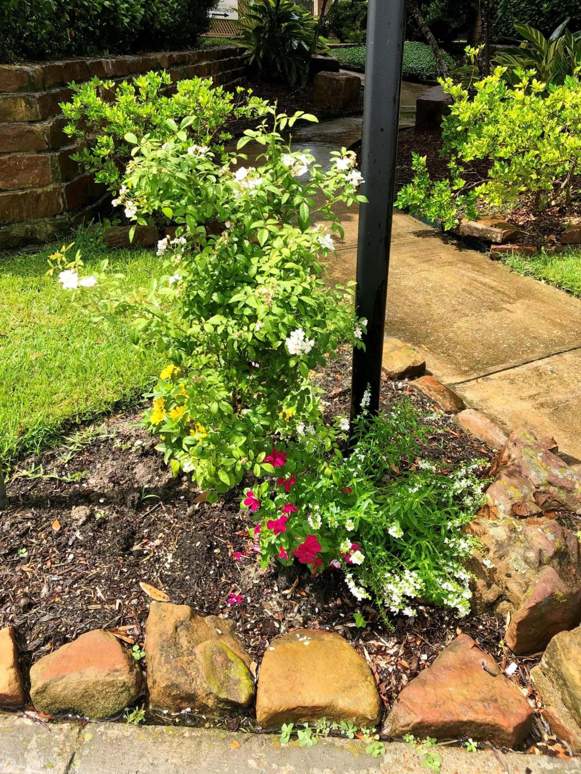 Garden in The Reside Fully Furnished Condos - Medical Stays Welcome