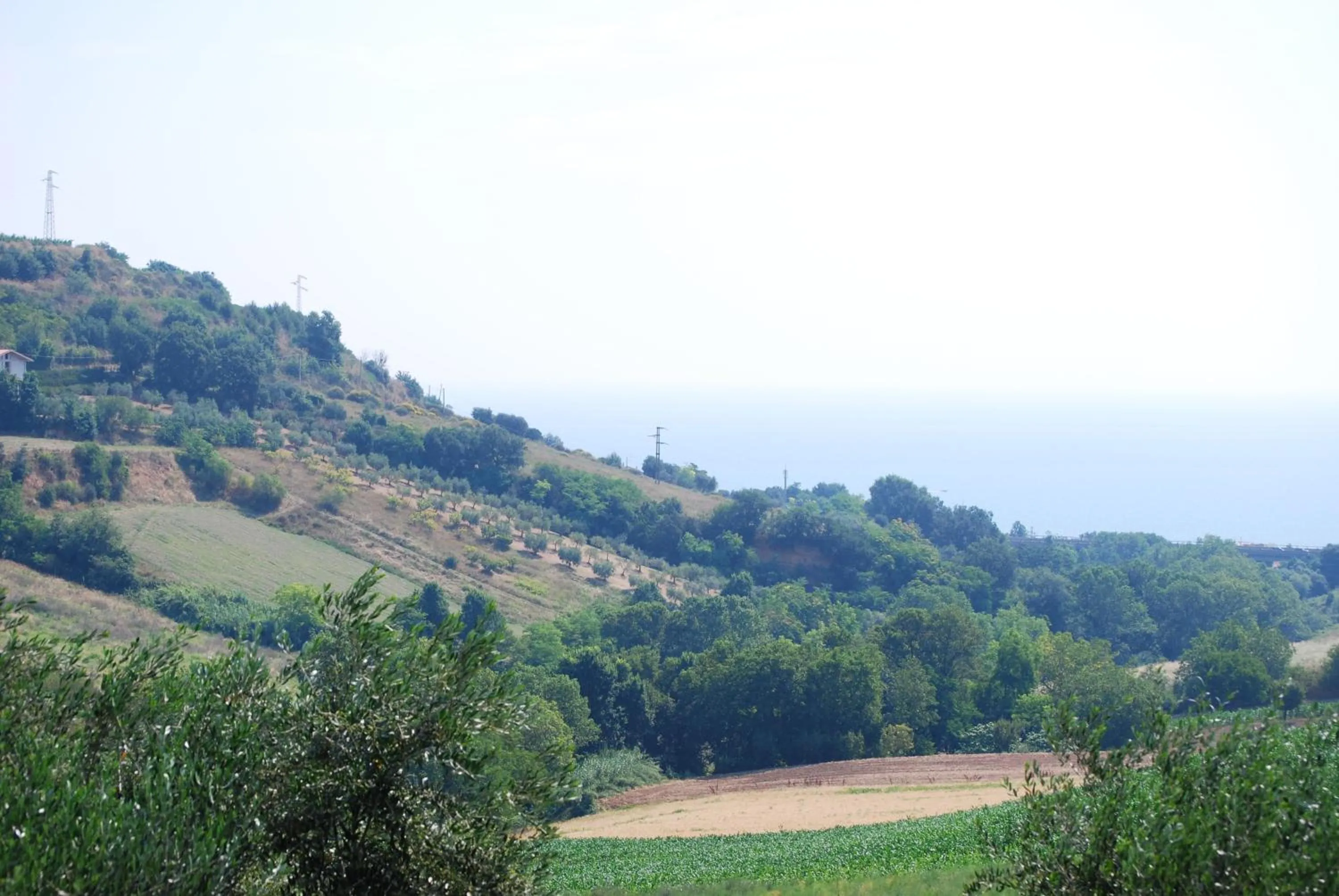 Bird's eye view in Cumana Blu Apartments