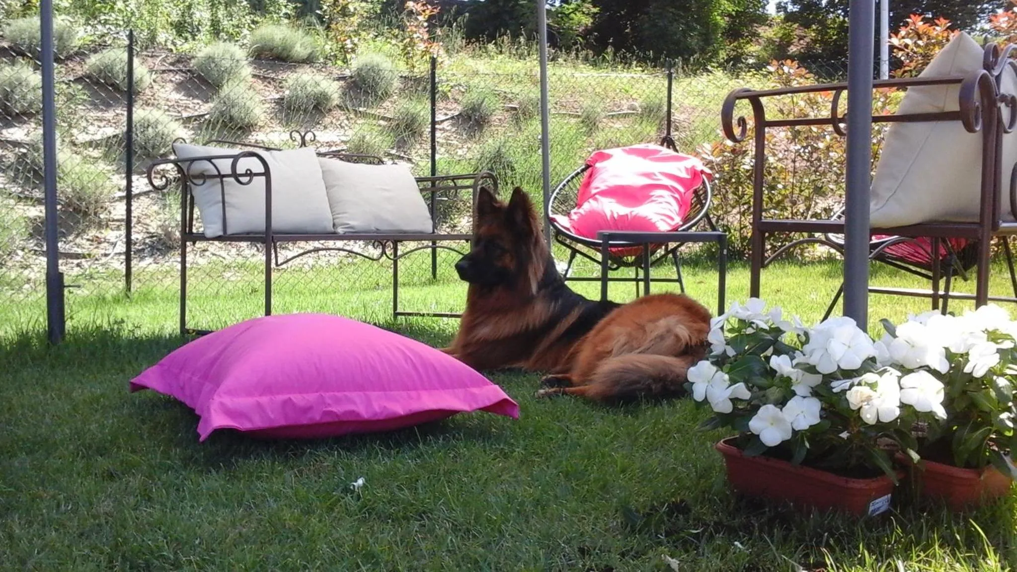 On site in Cumana Blu Apartments