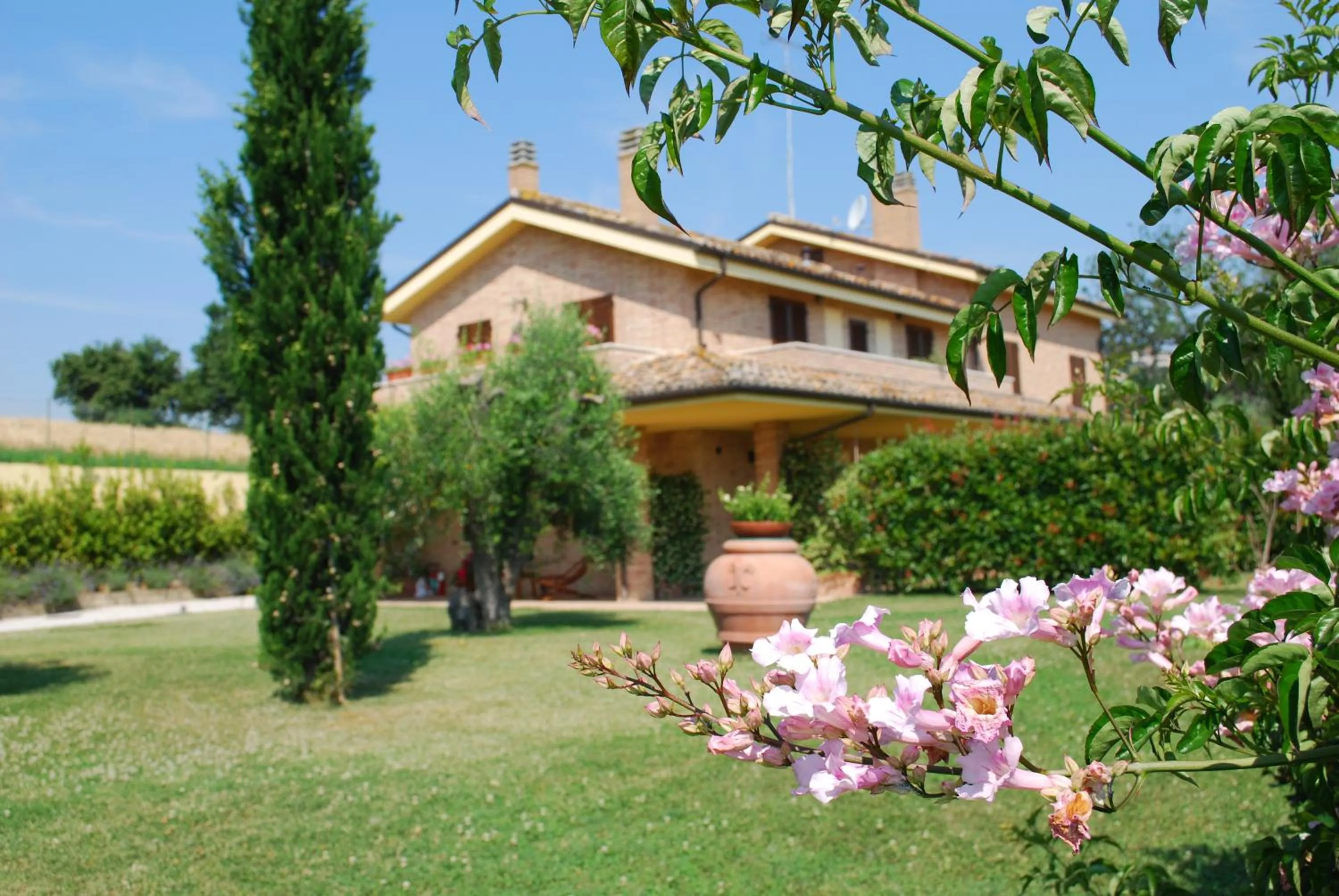 Garden in Cumana Blu Apartments
