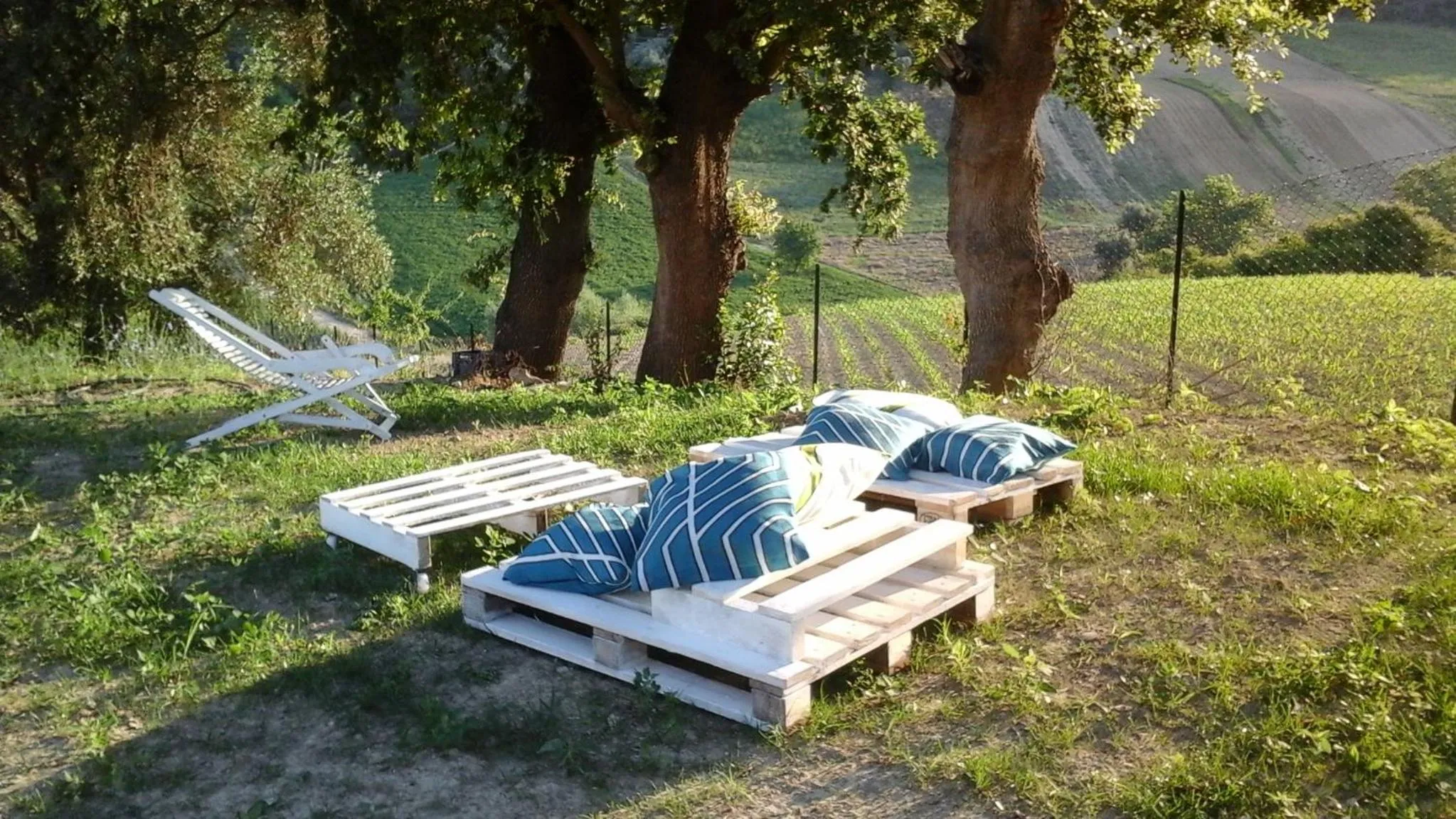 Garden in Cumana Blu Apartments