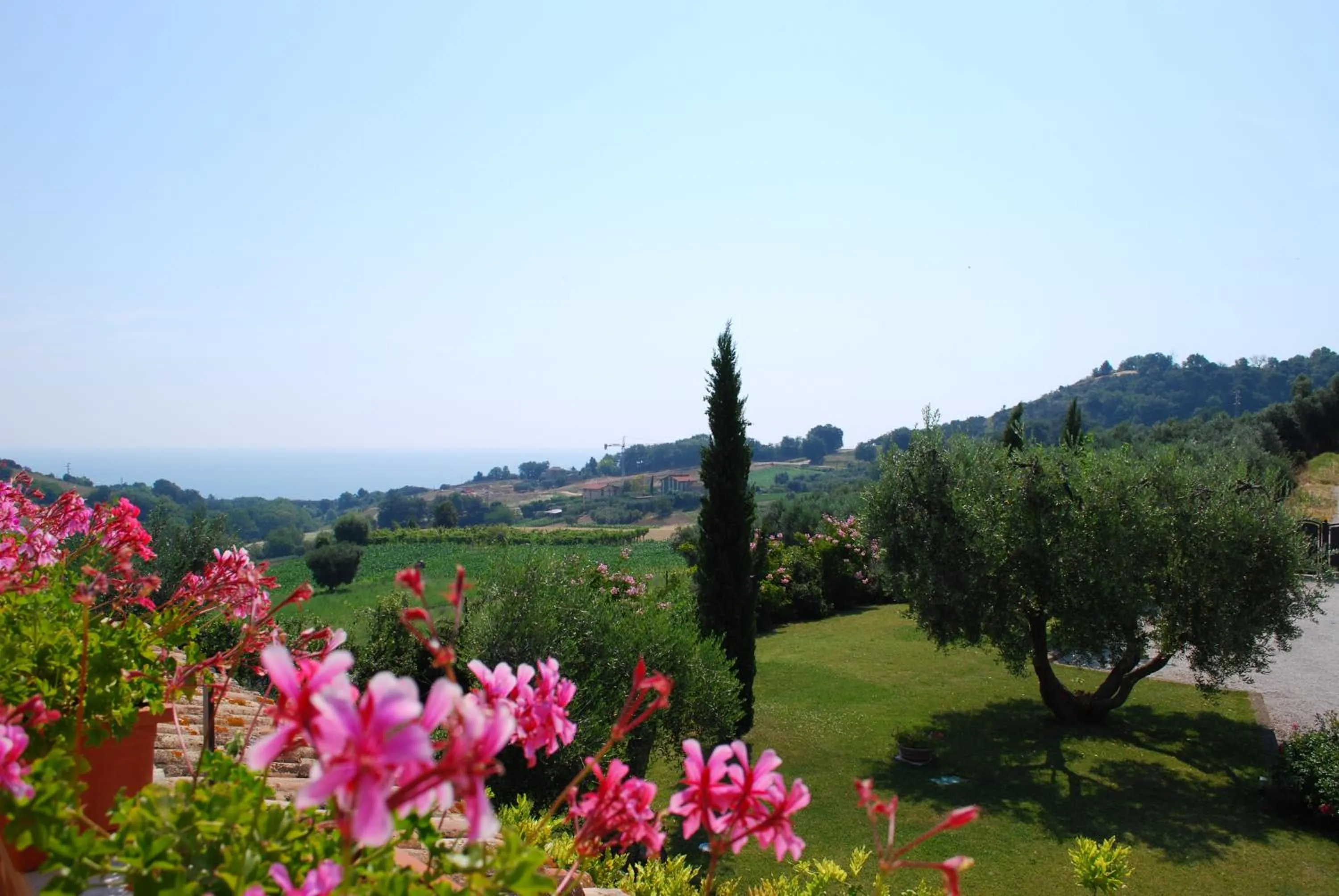 Garden in Cumana Blu Apartments