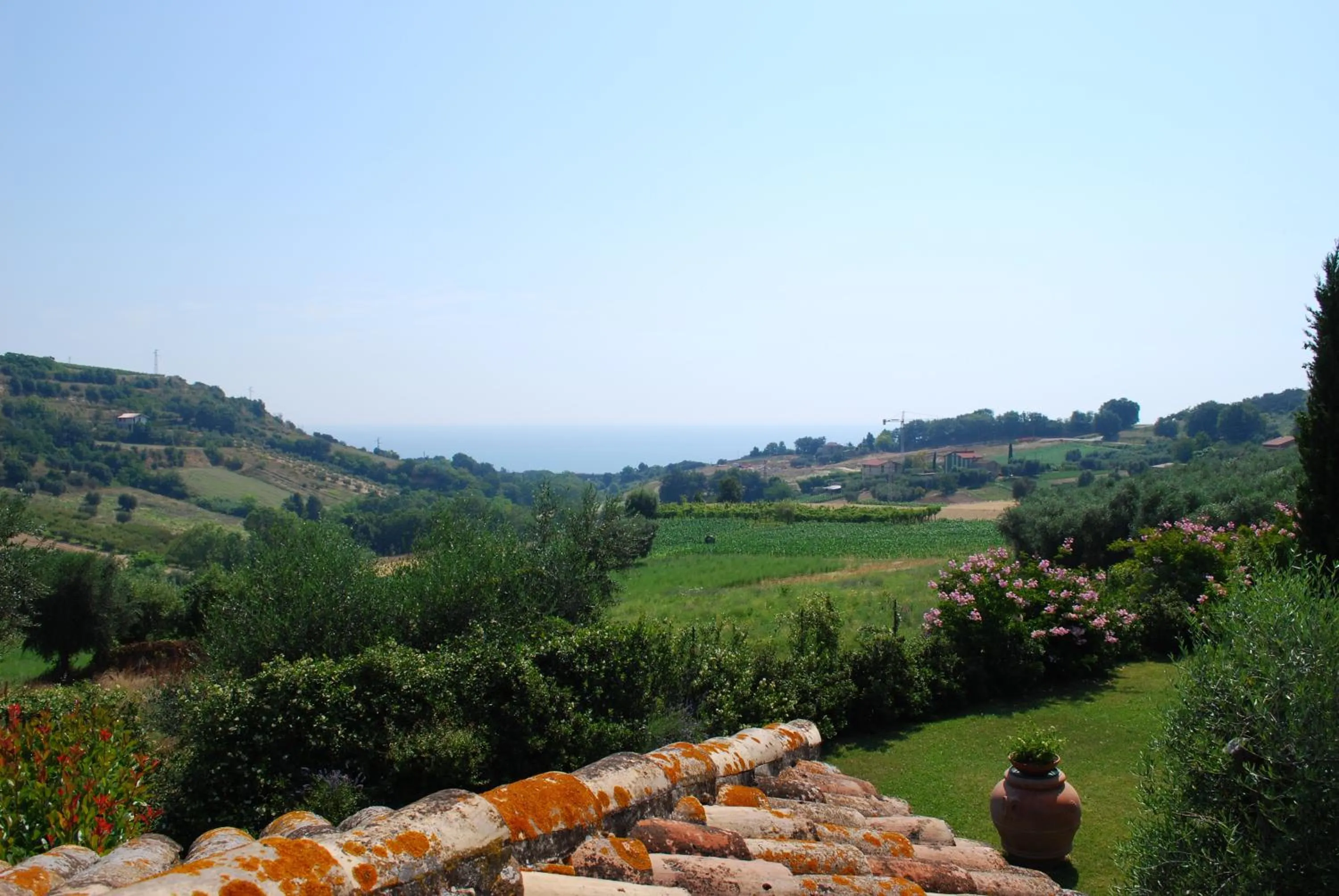 Garden view in Cumana Blu Apartments