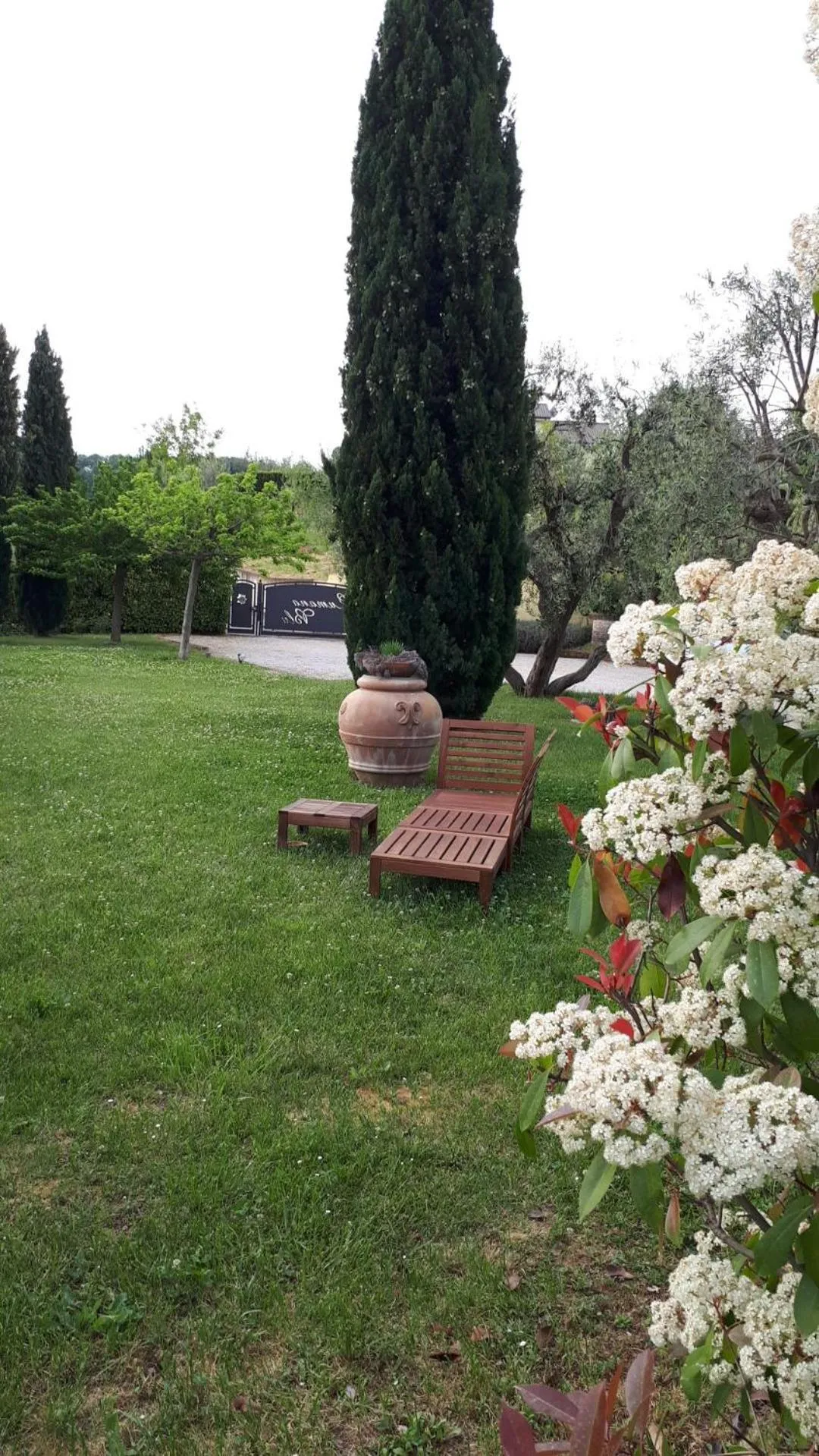Garden in Cumana Blu Apartments