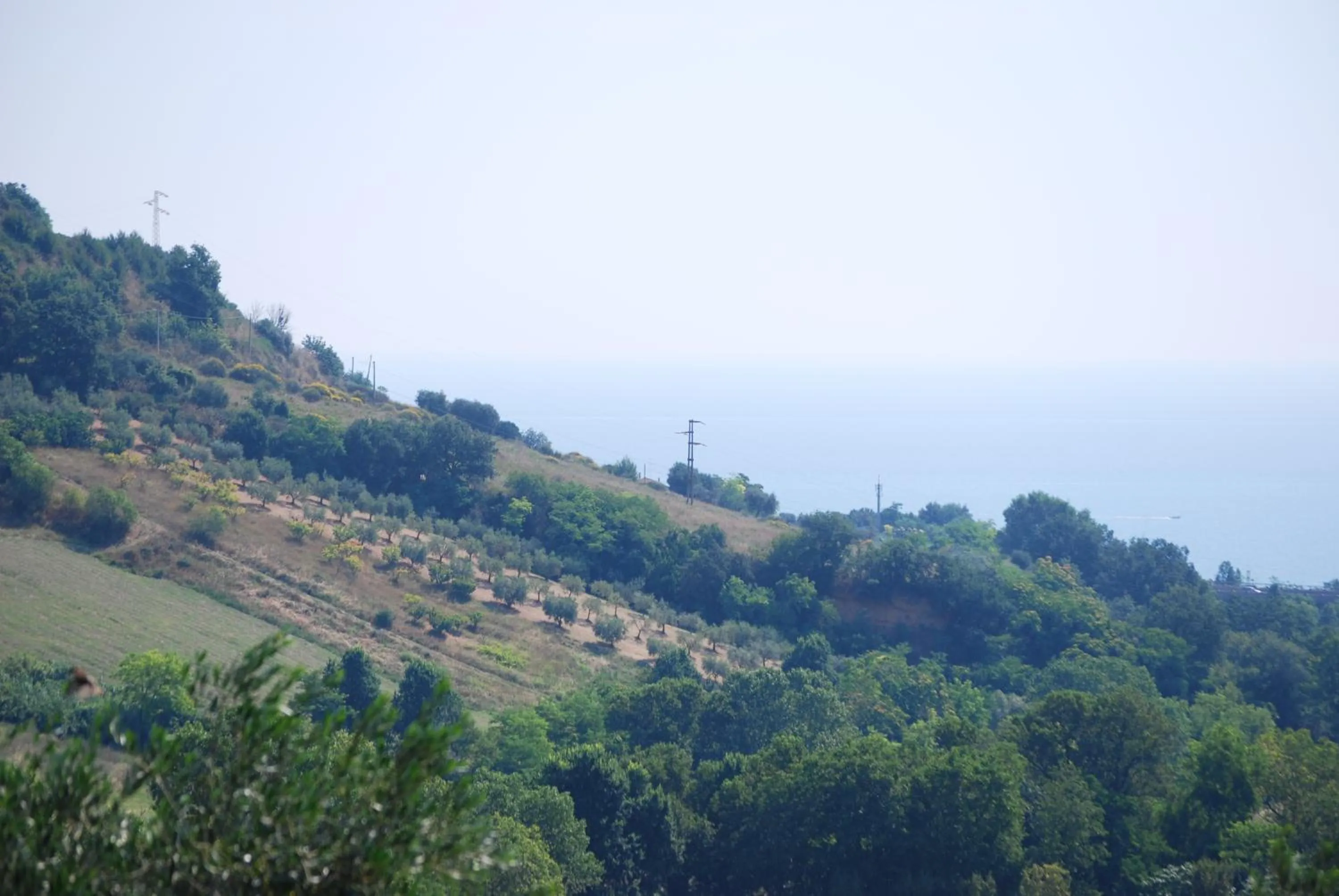 View (from property/room) in Cumana Blu Apartments