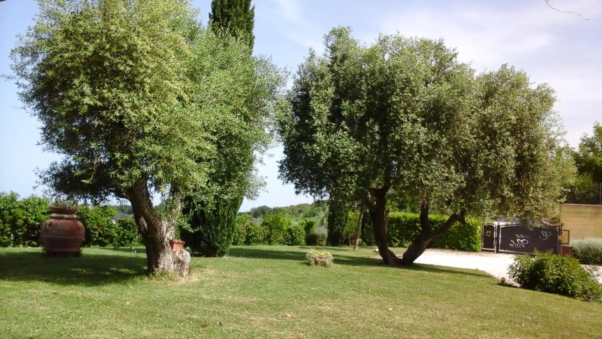 Garden in Cumana Blu Apartments