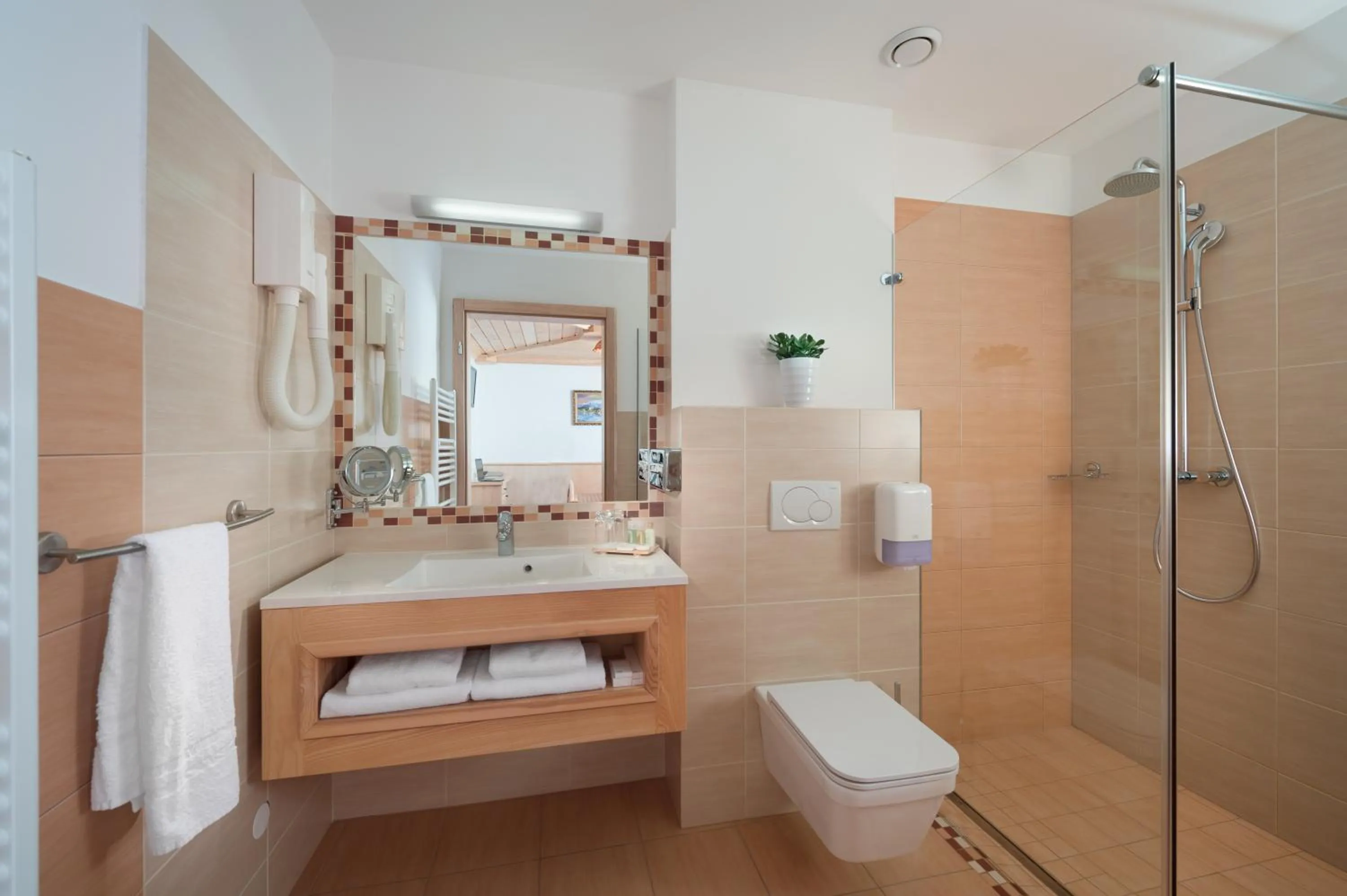 Shower in Hotel Planinka