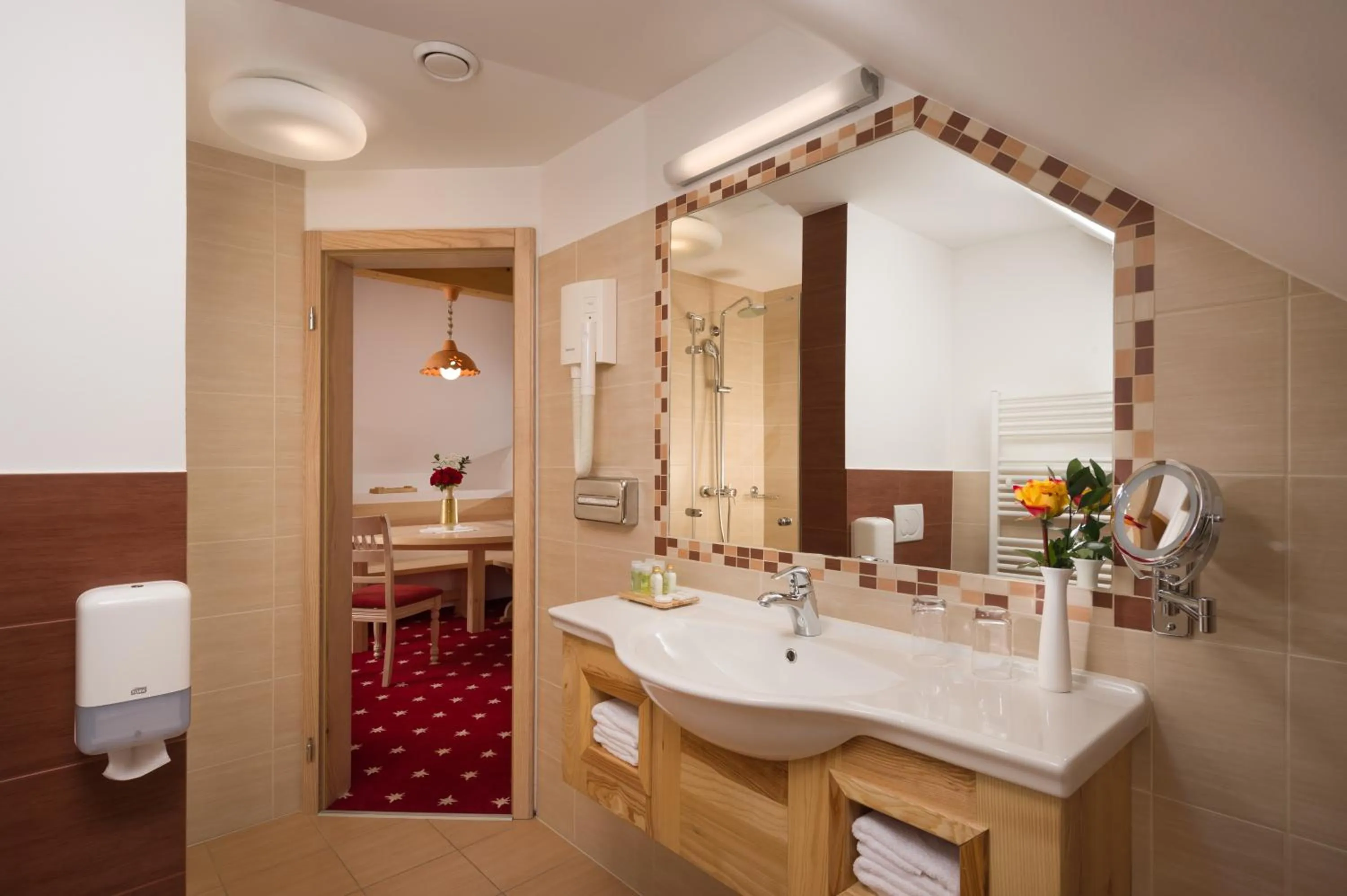 Shower in Hotel Planinka