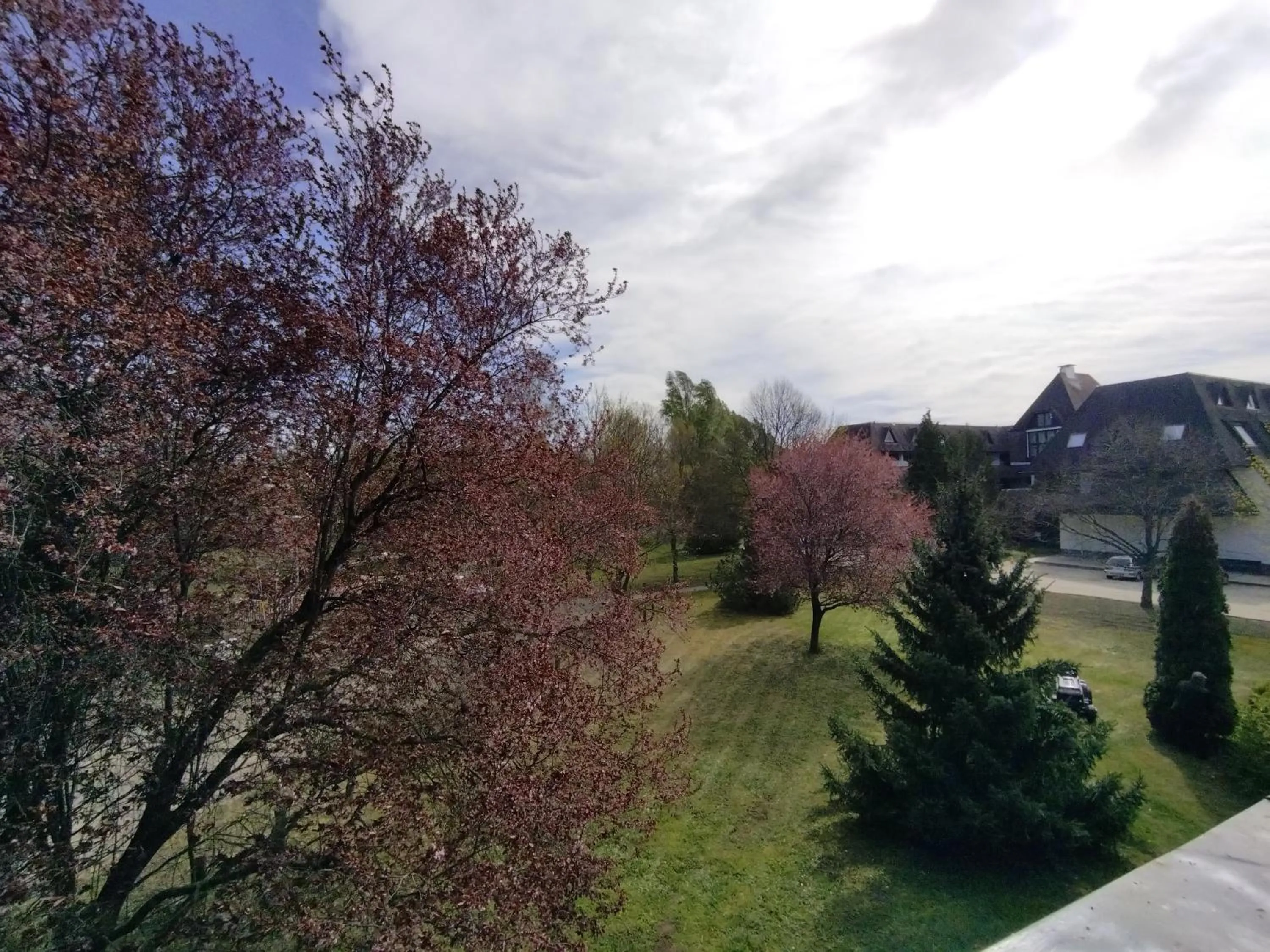 Garden view in Viking Hotel