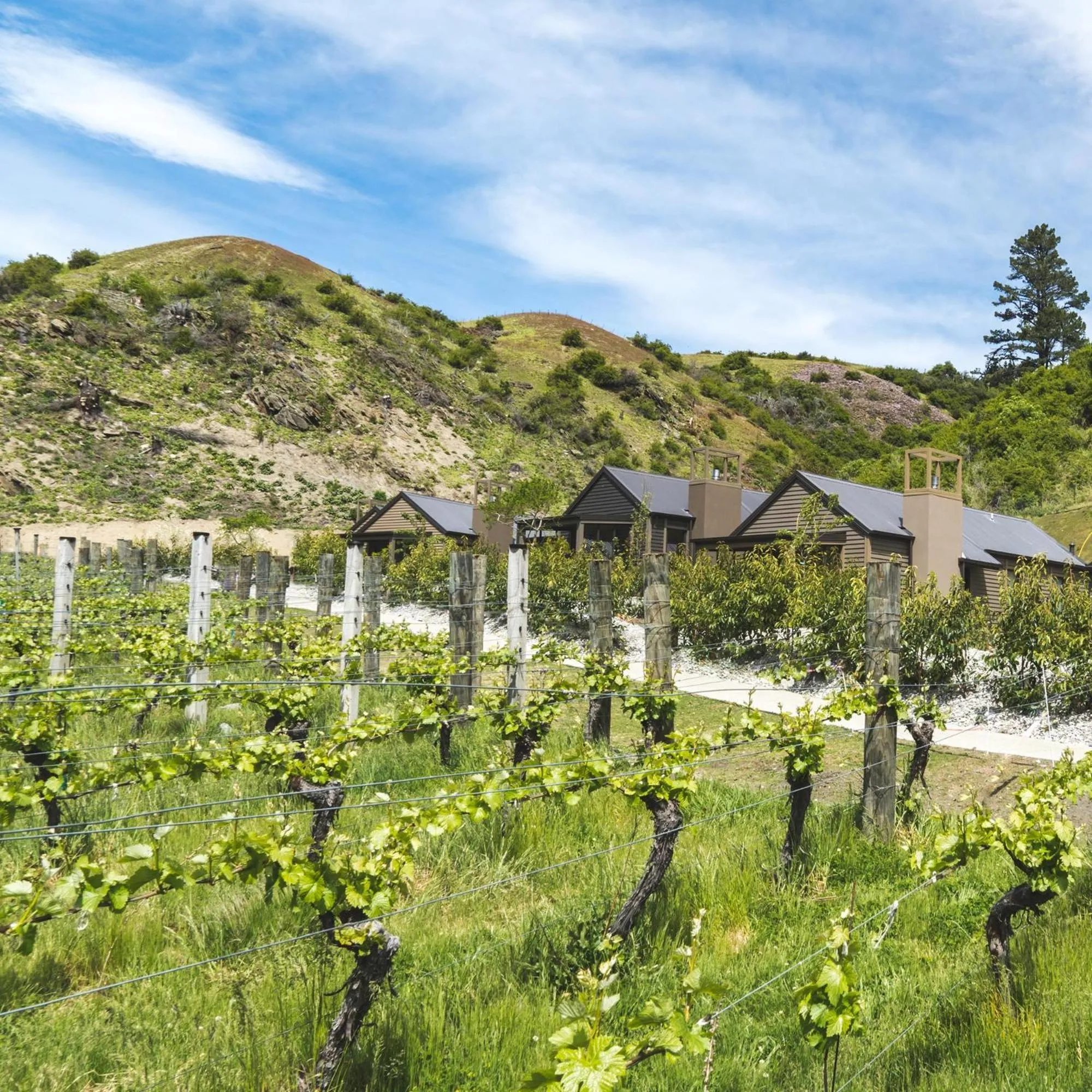 Property building in Gibbston Valley Lodge and Spa