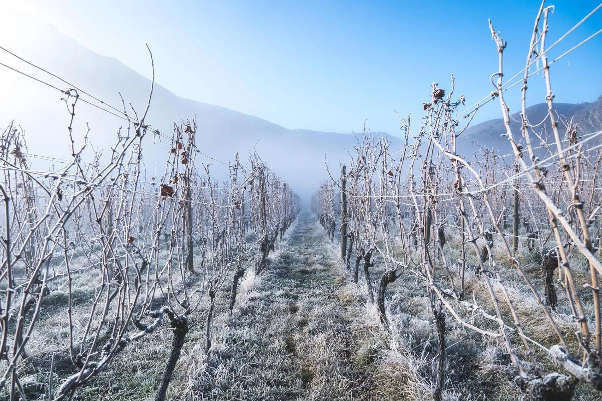 Property building in Gibbston Valley Lodge and Spa