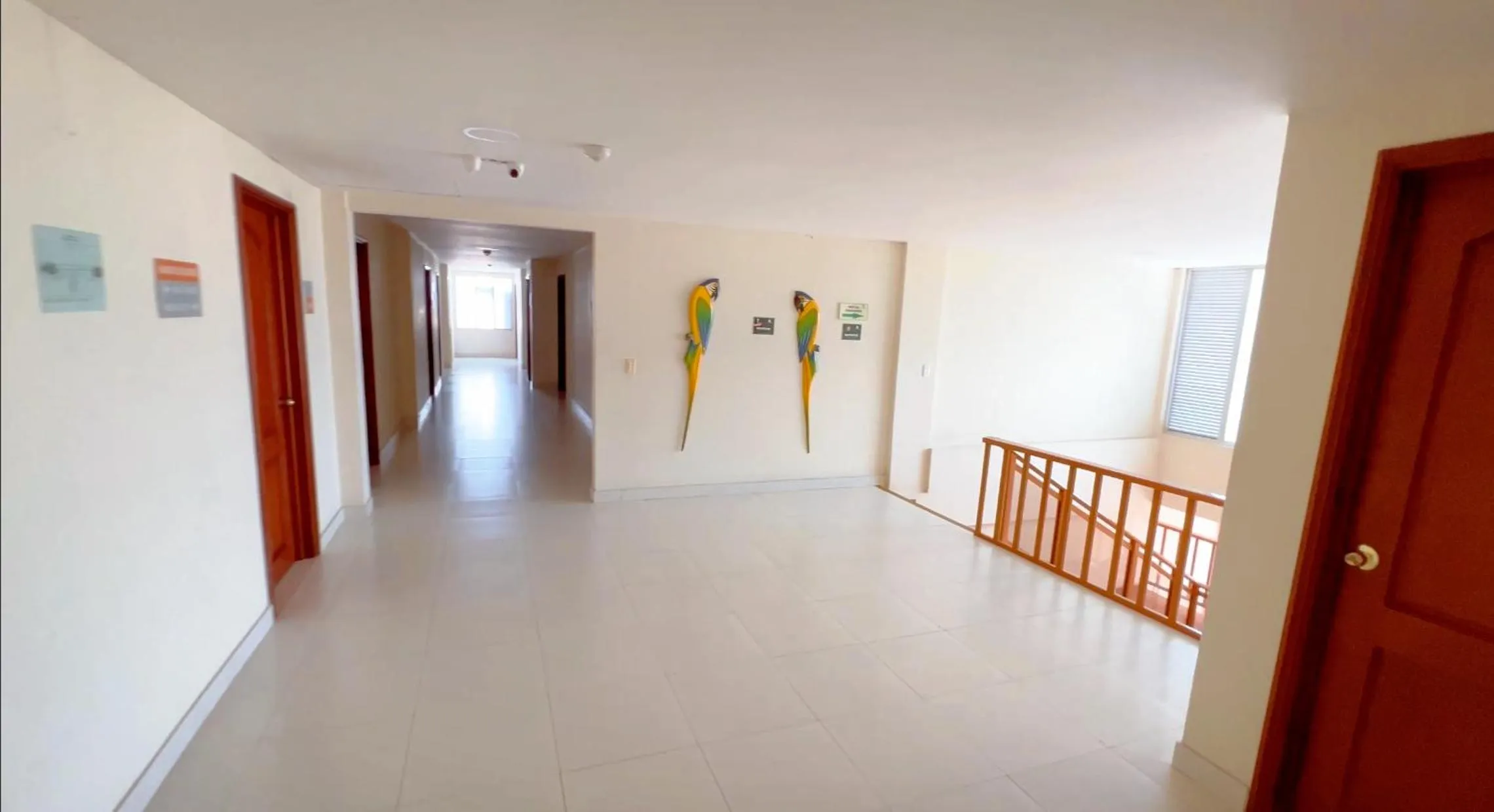 Property building in Hotel Anaconda