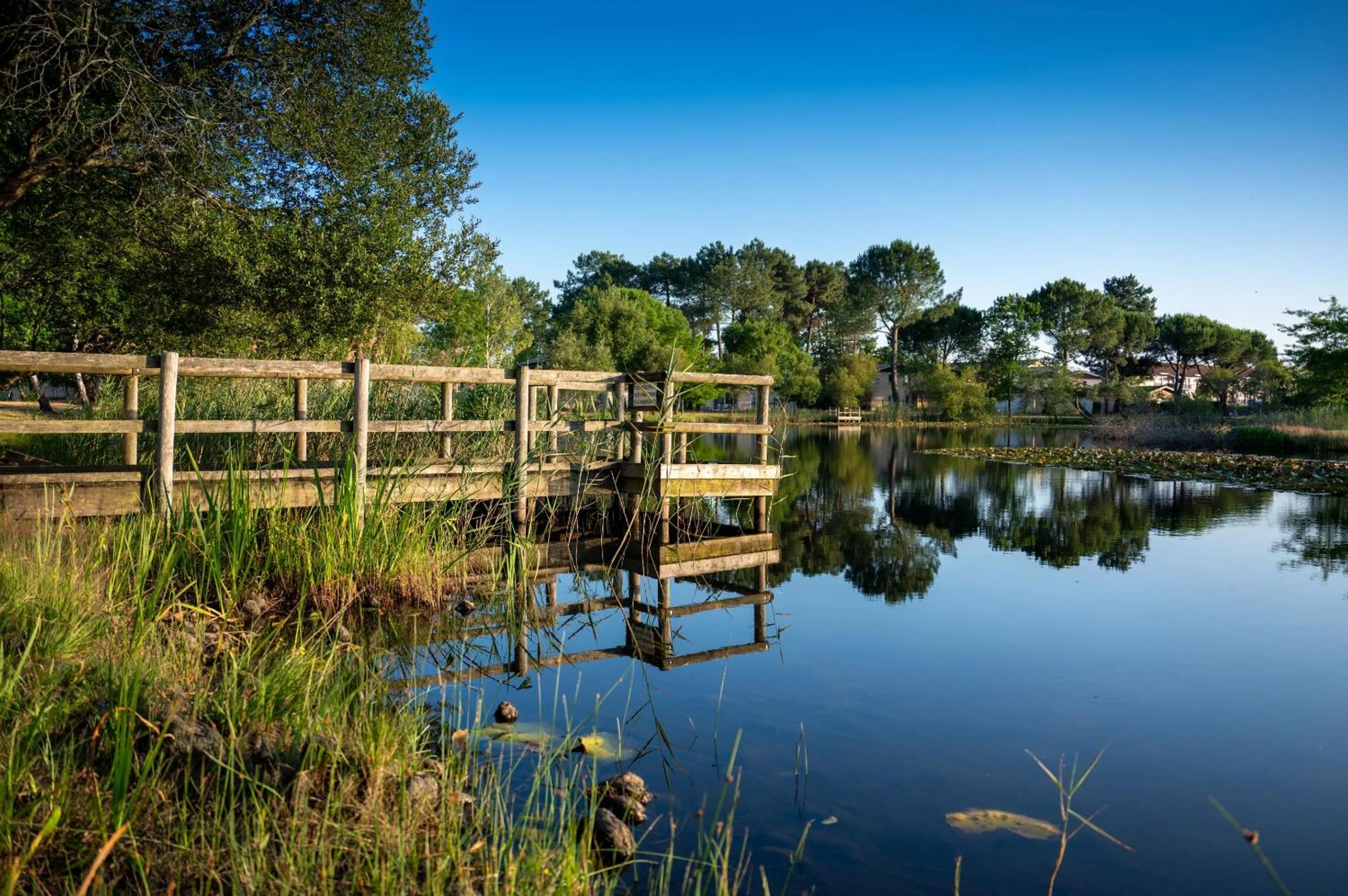 Day in Résidence Odalys Le Petit Pont