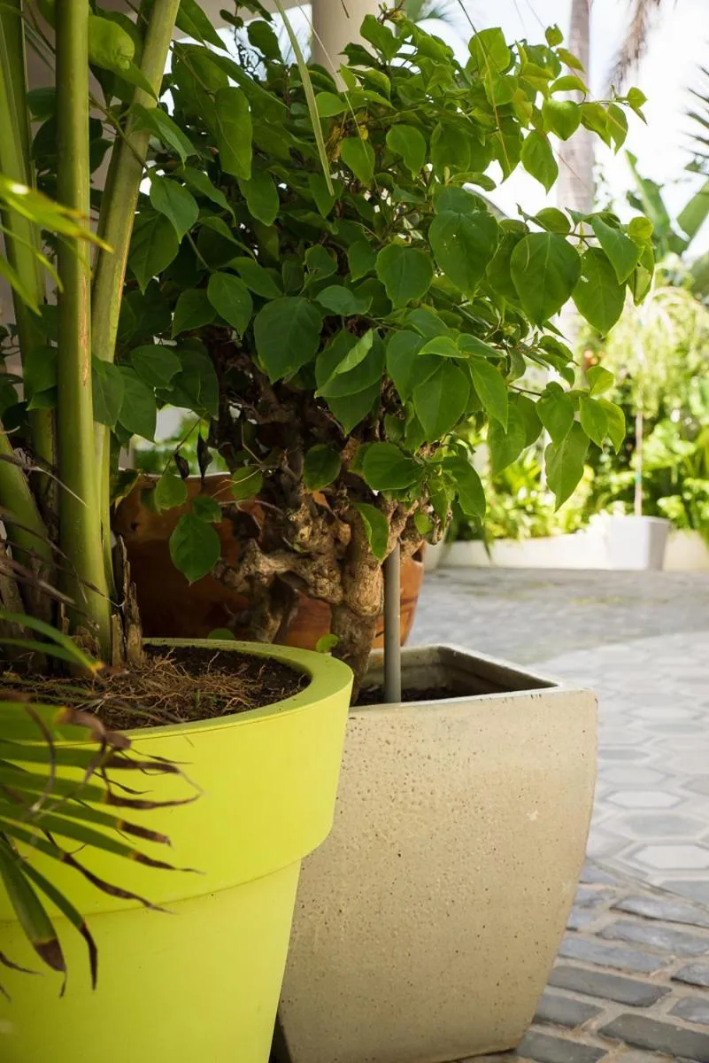 Patio in Numero Uno Beach House