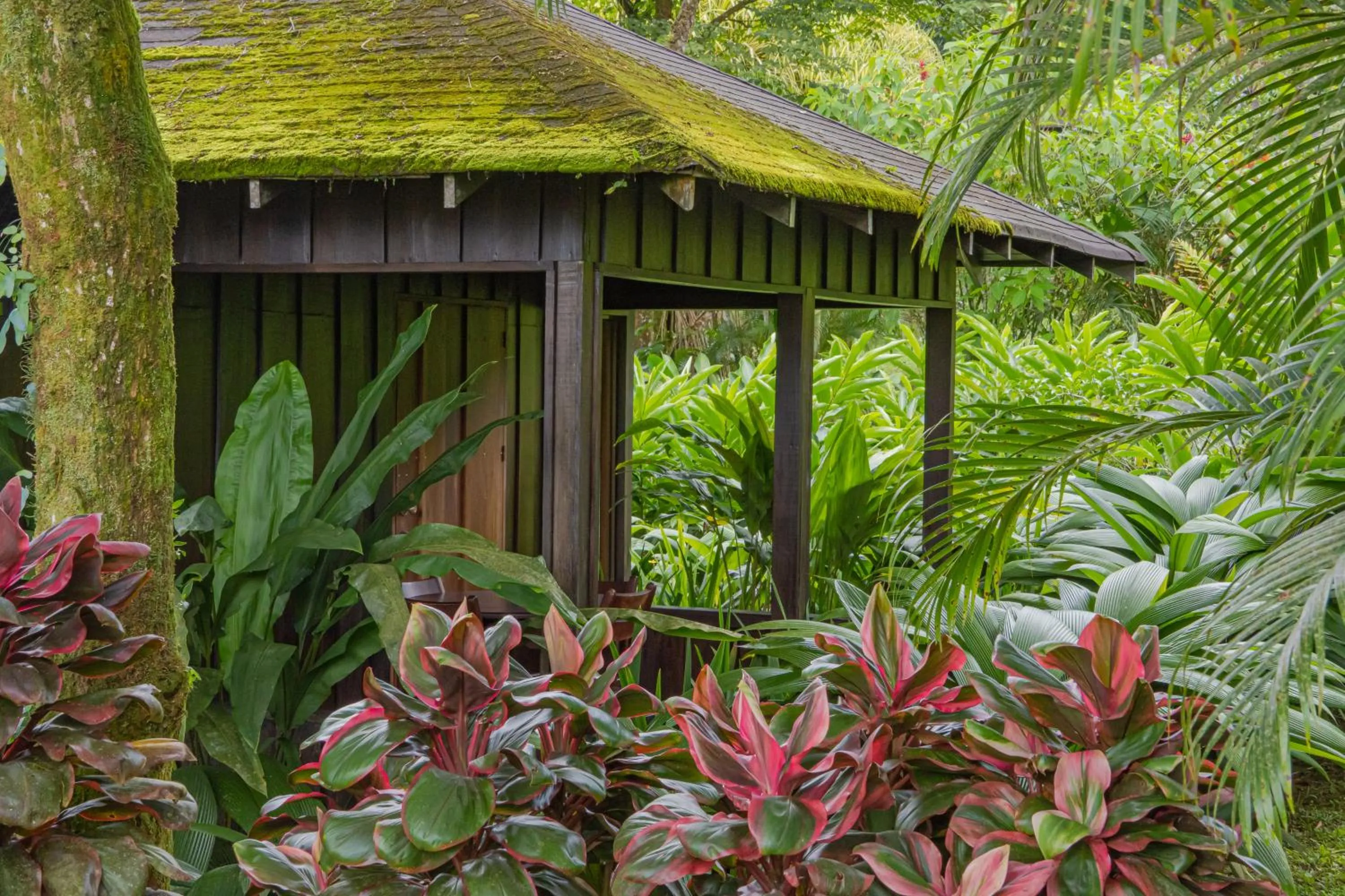 Off site in Hotel Lomas del Volcan