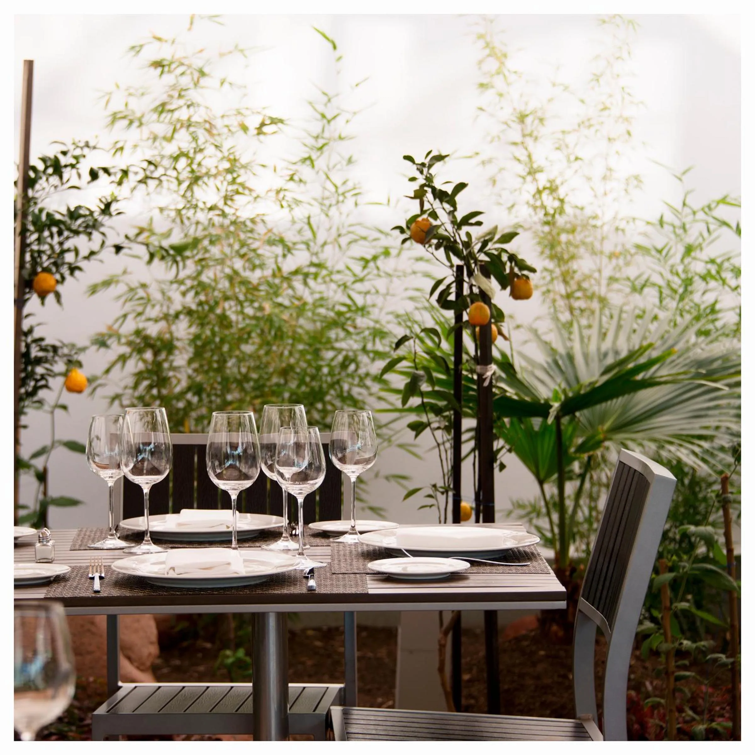 Dining area in Casa Grande Hotel