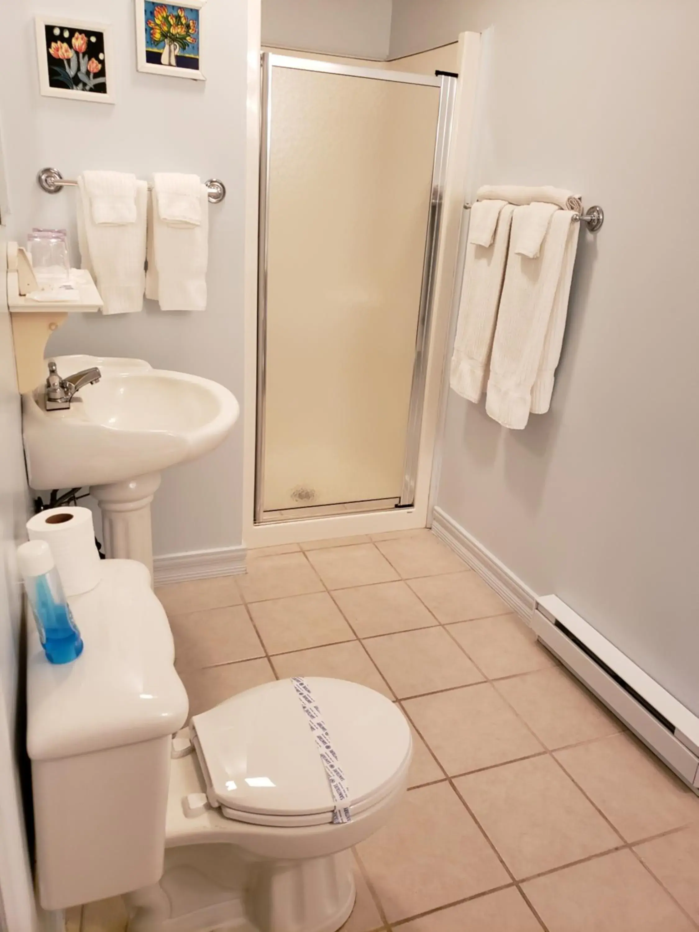 Twin Room in Gîte Le Grandelinois Twin Room in Gîte Le Grandelinois