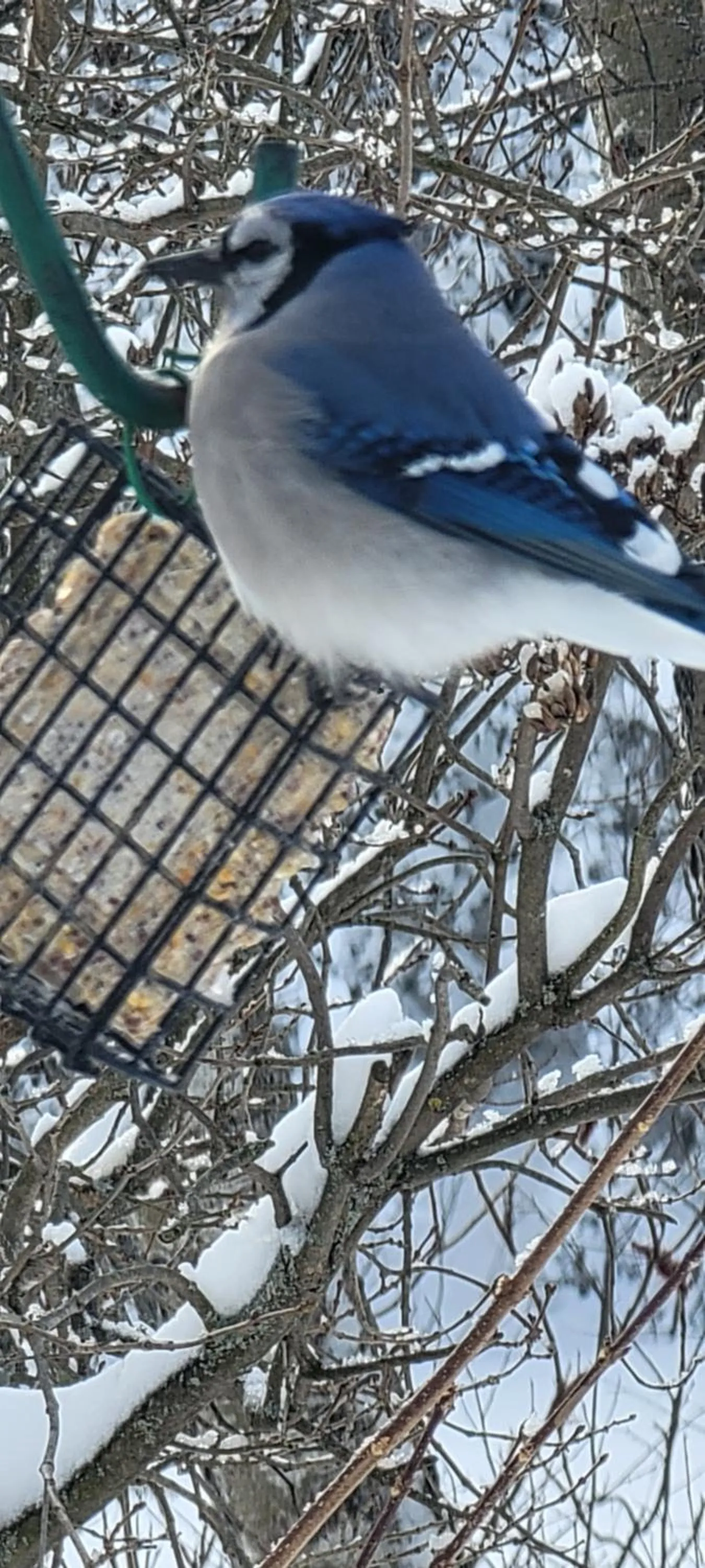 Gîte Le Grandelinois