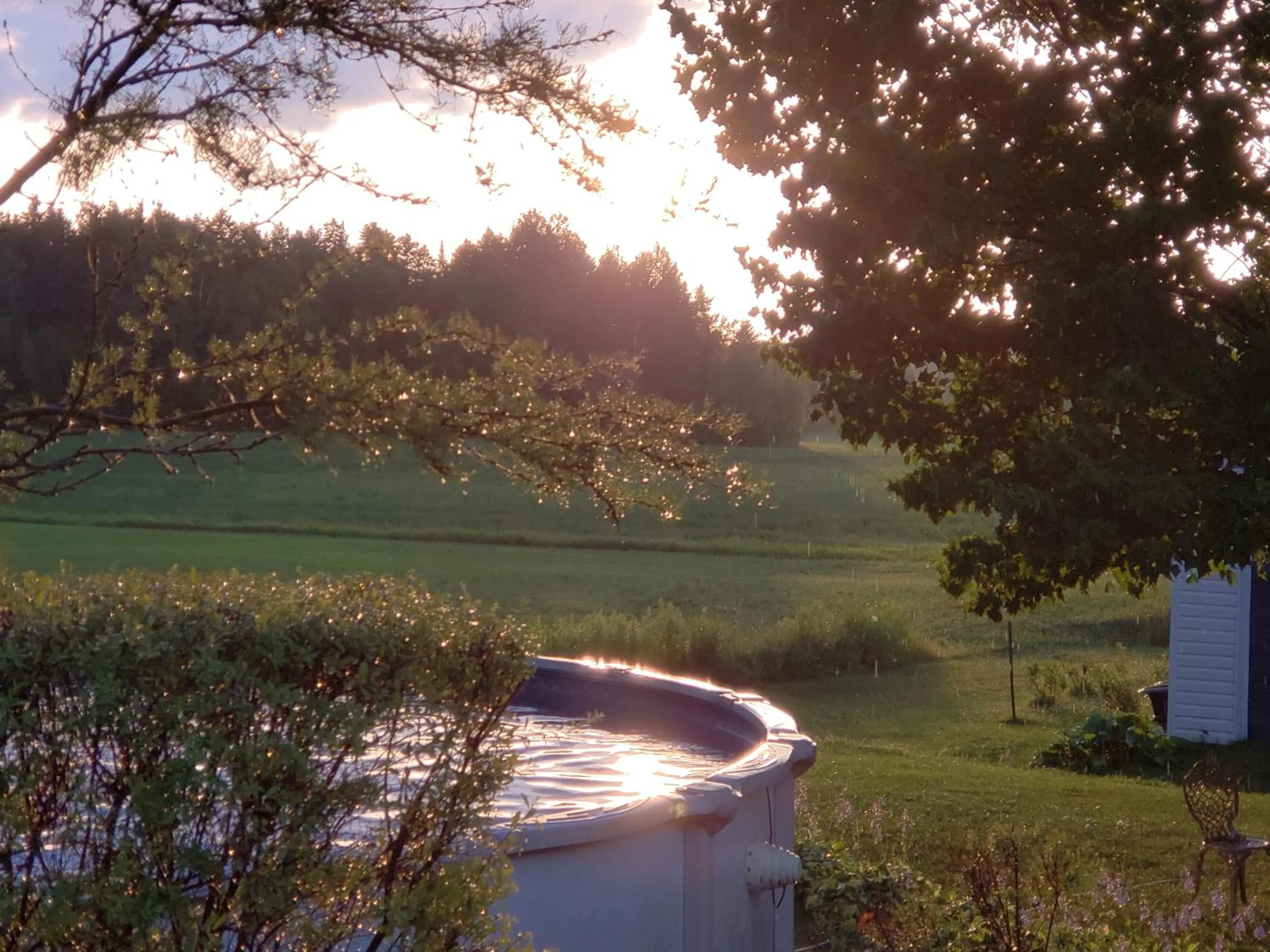 Swimming pool in Gîte Le Grandelinois