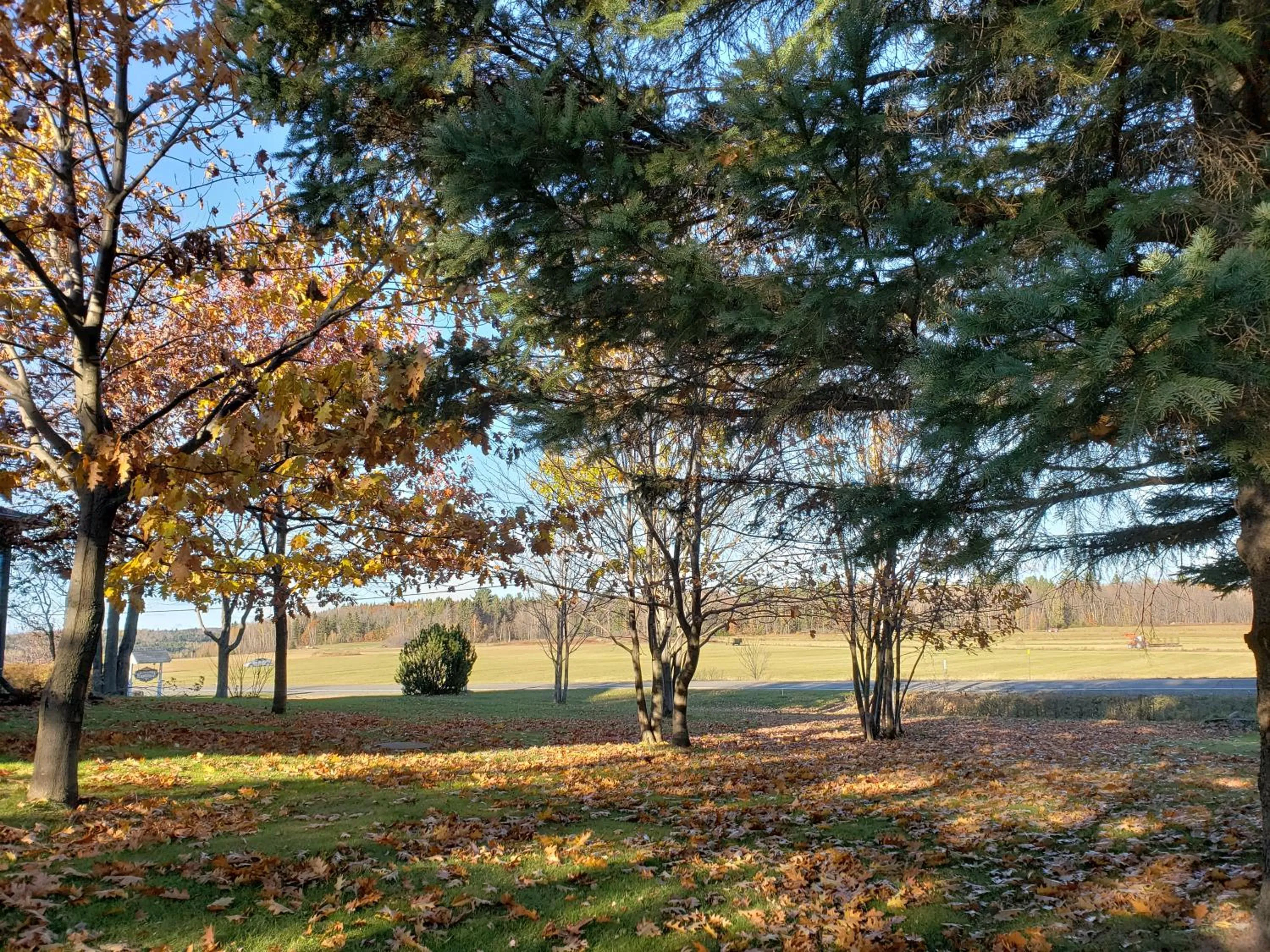 View (from property/room) in Gîte Le Grandelinois