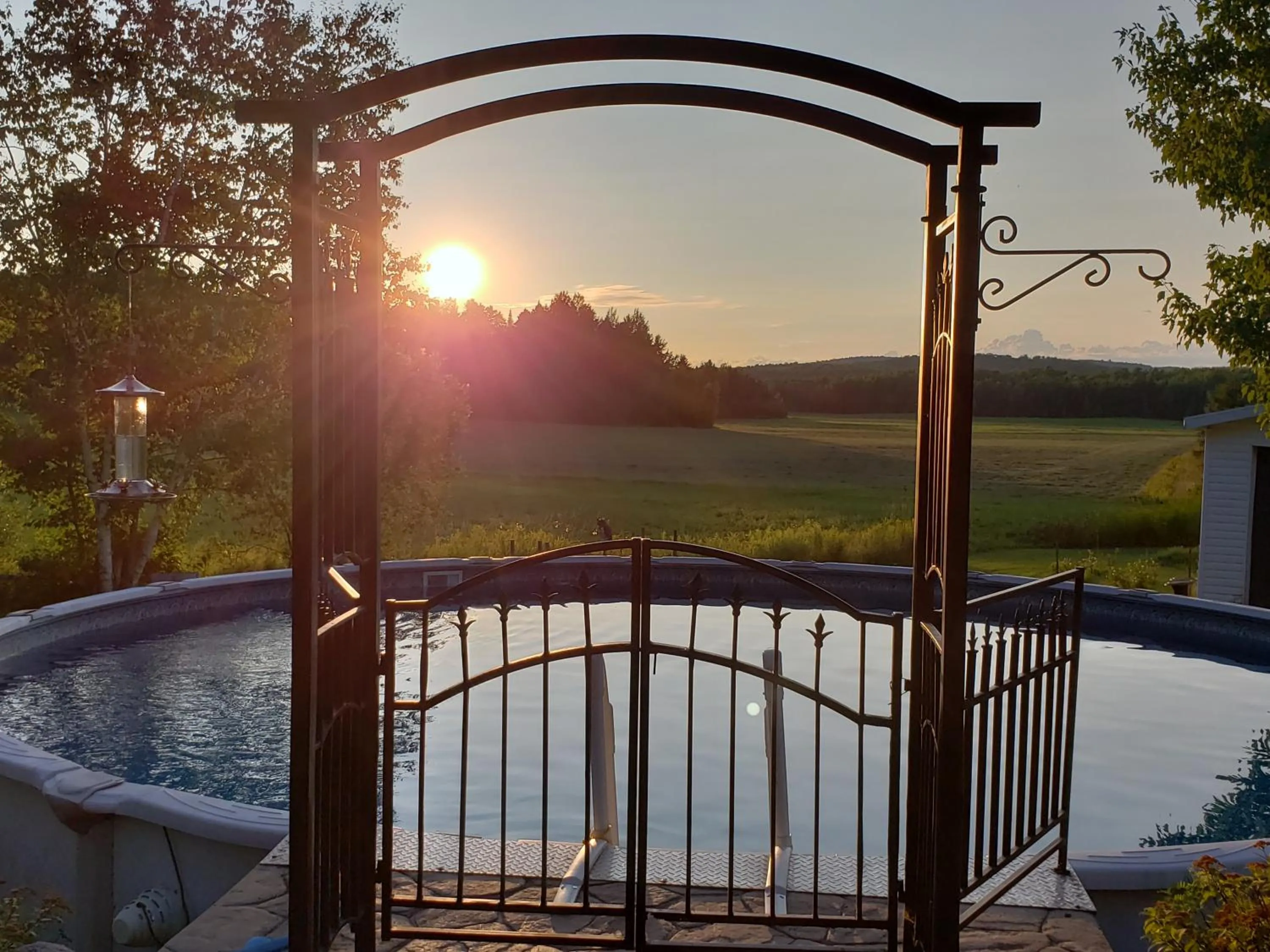 Swimming pool in Gîte Le Grandelinois