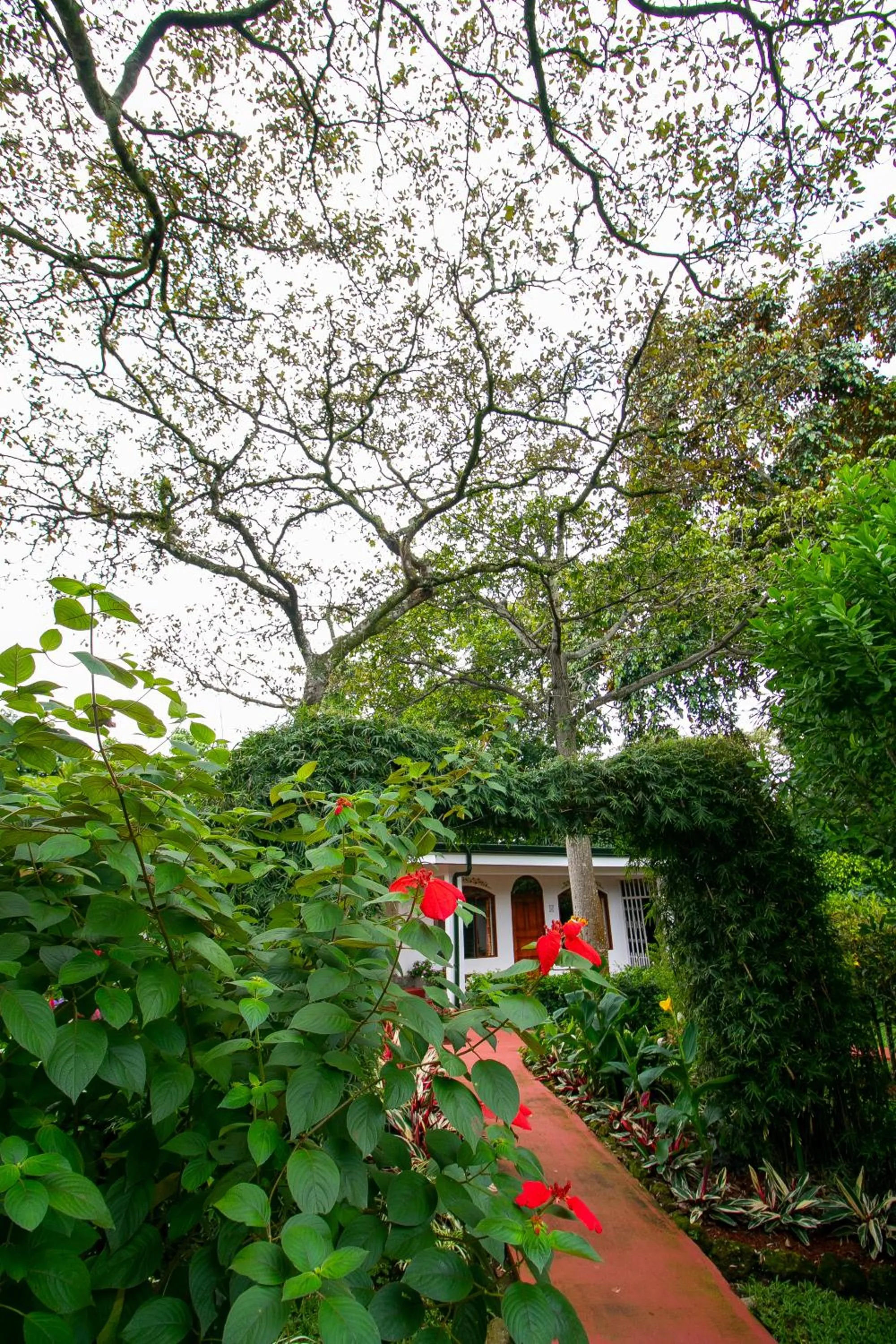 Patio in Hotel La Rosa de America