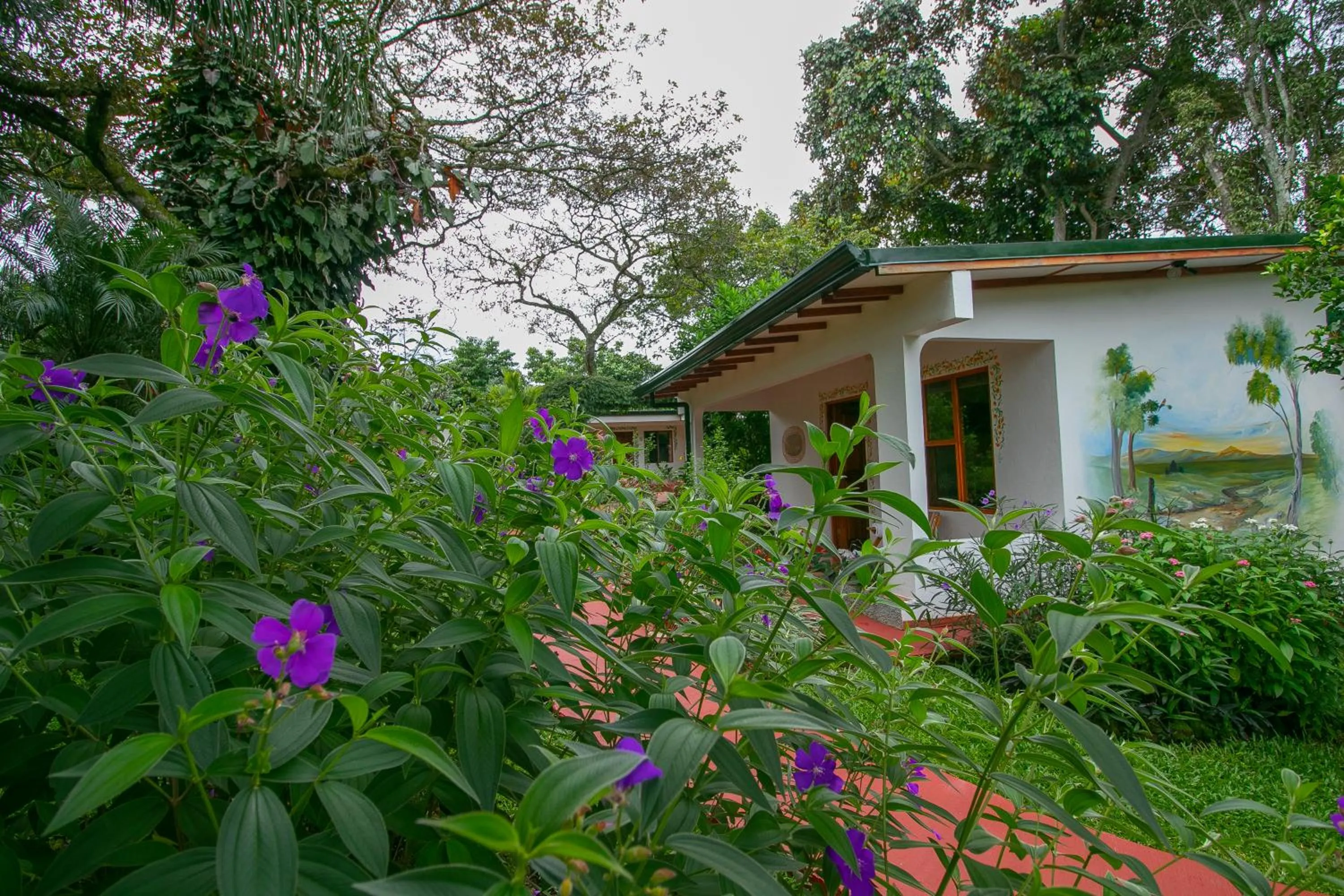 Property building in Hotel La Rosa de America