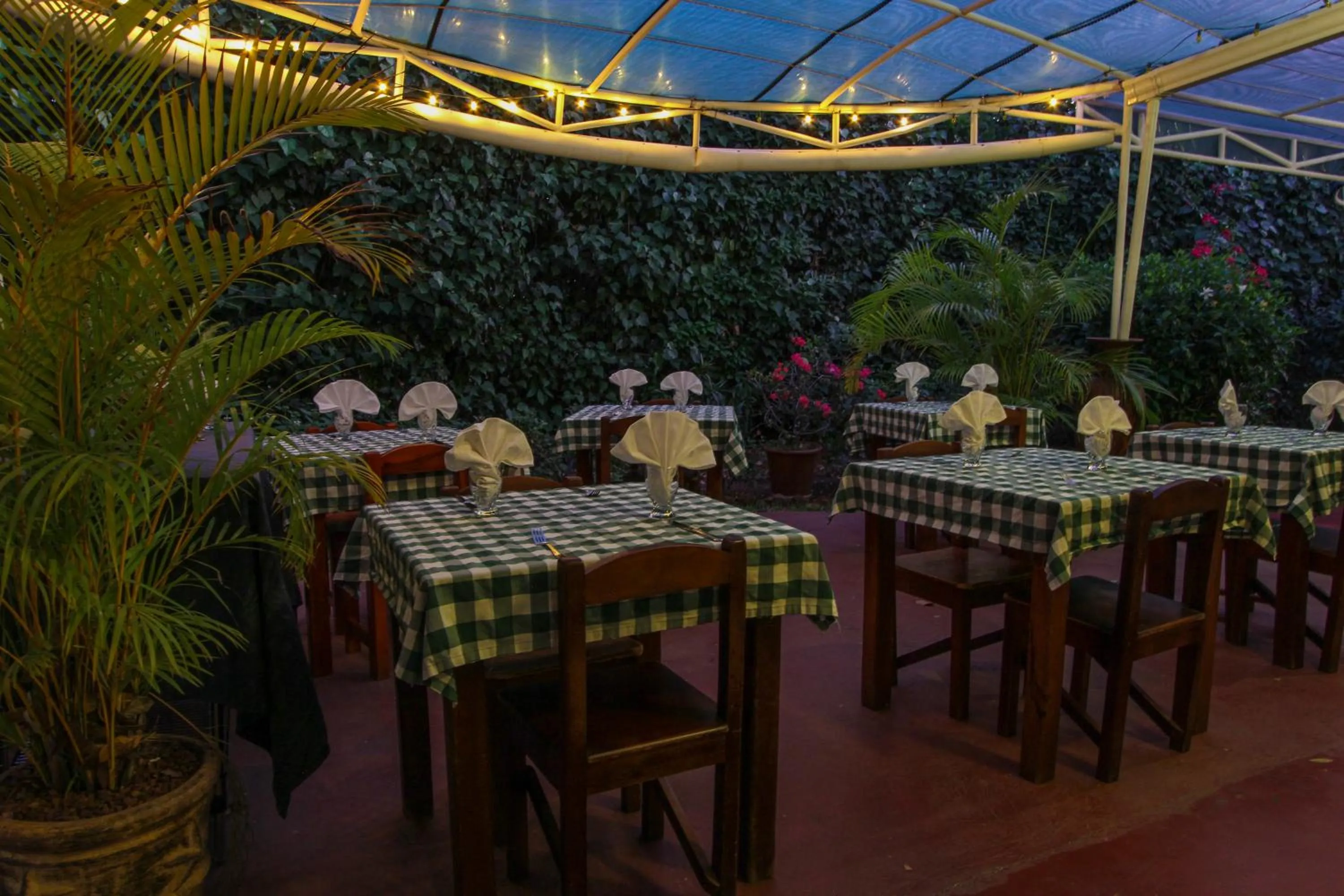 Patio in Hotel La Rosa de America