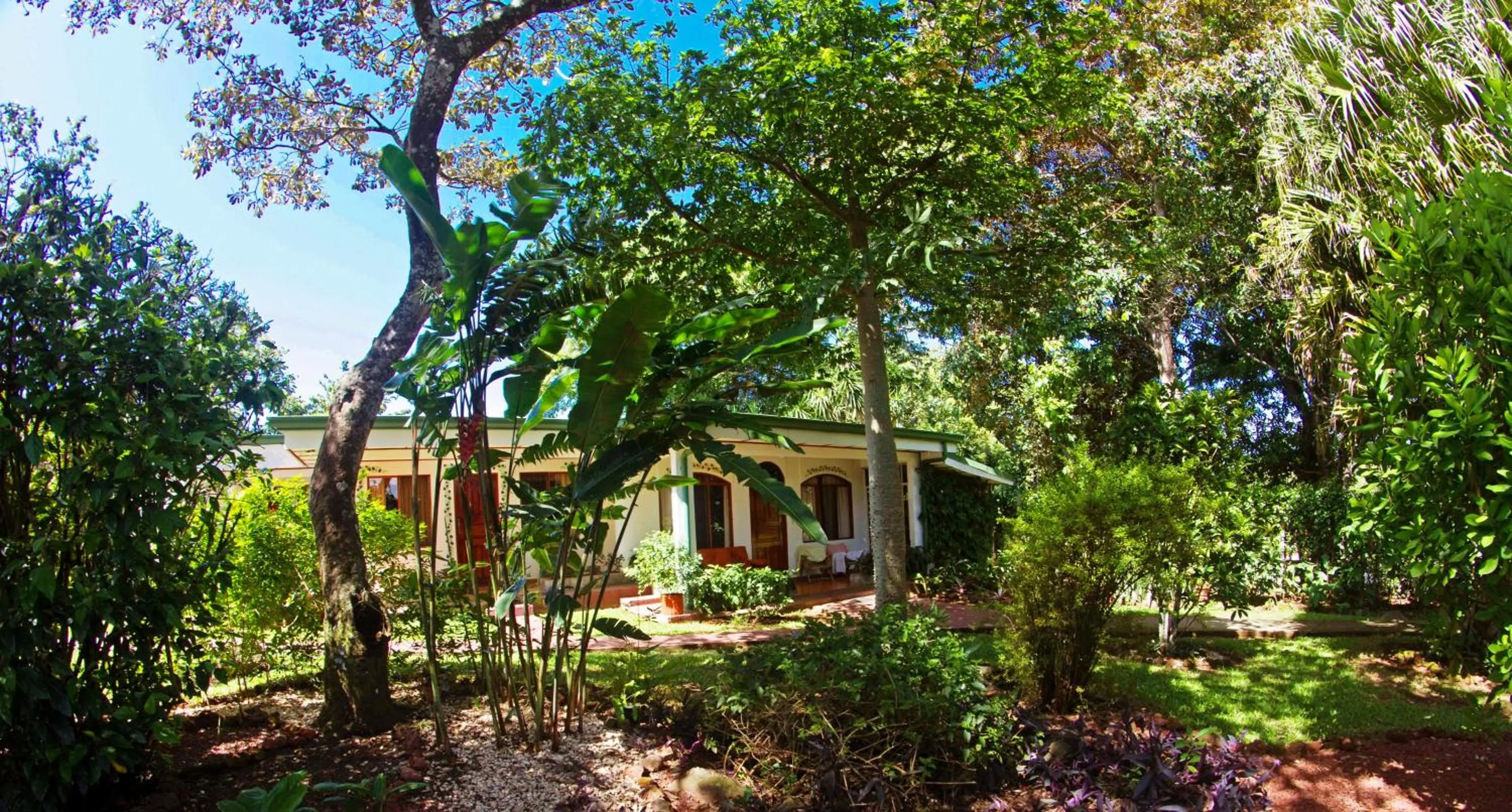 Garden in Hotel La Rosa de America