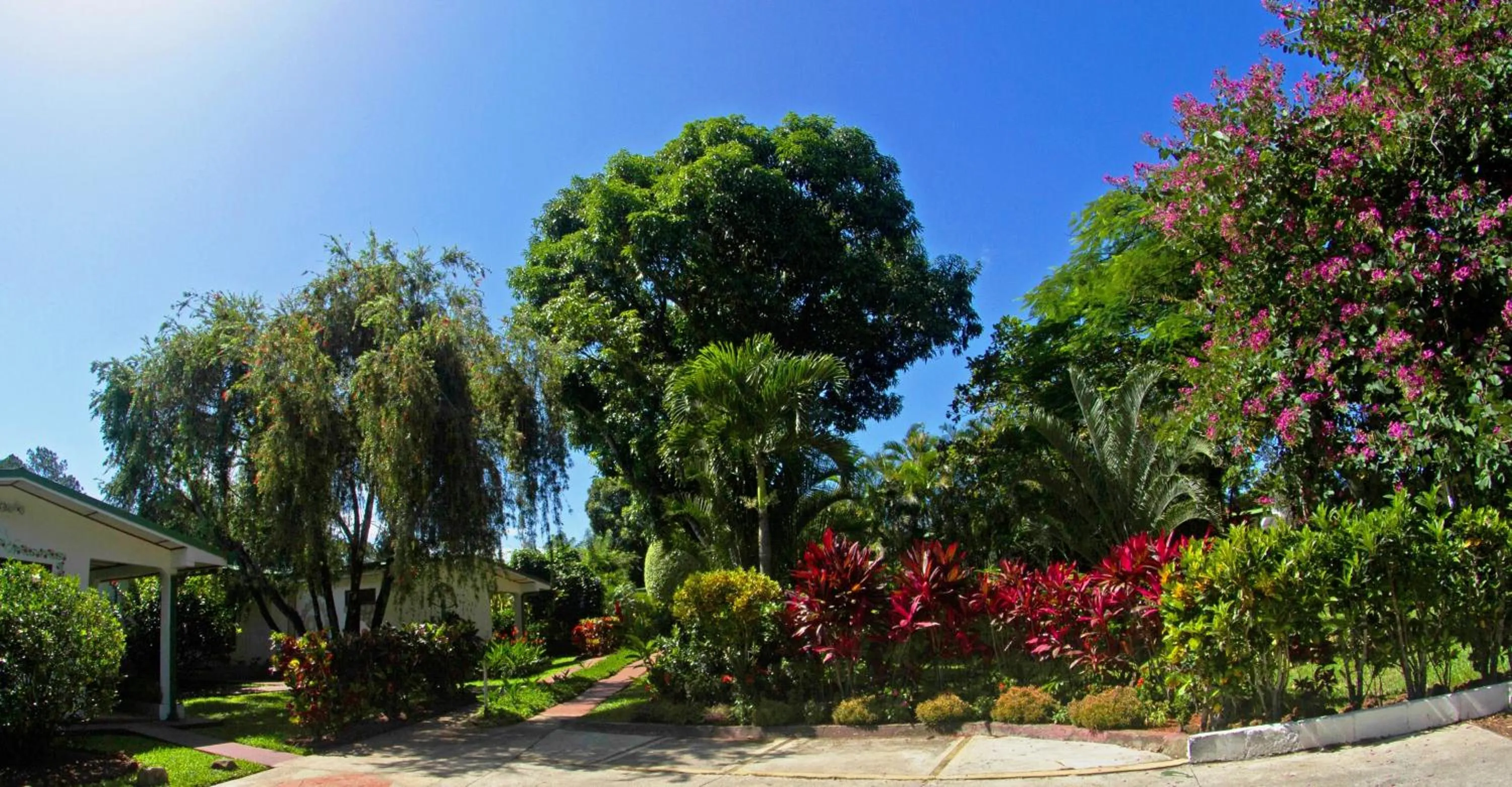 Facade/entrance in Hotel La Rosa de America
