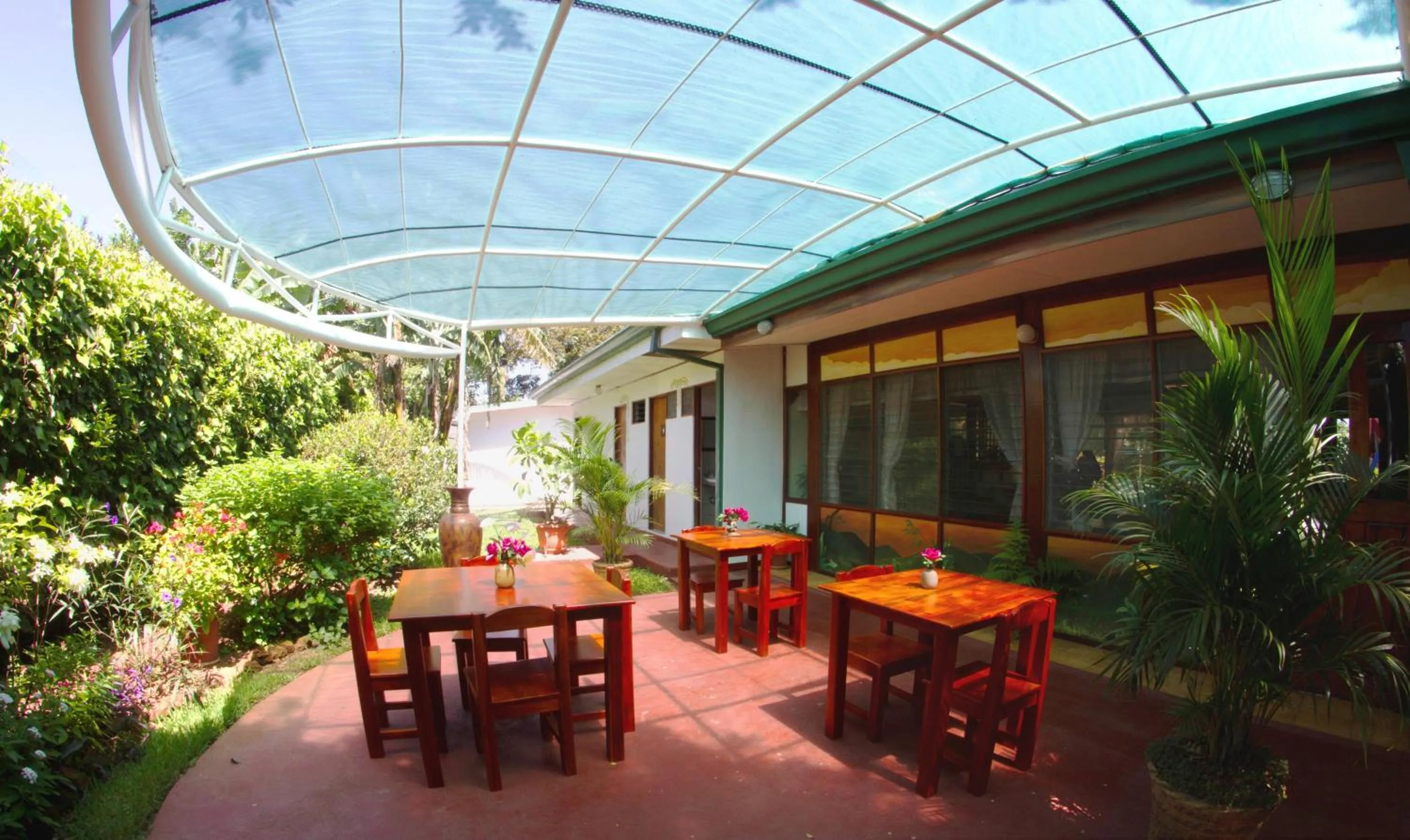 Restaurant/places to eat in Hotel La Rosa de America