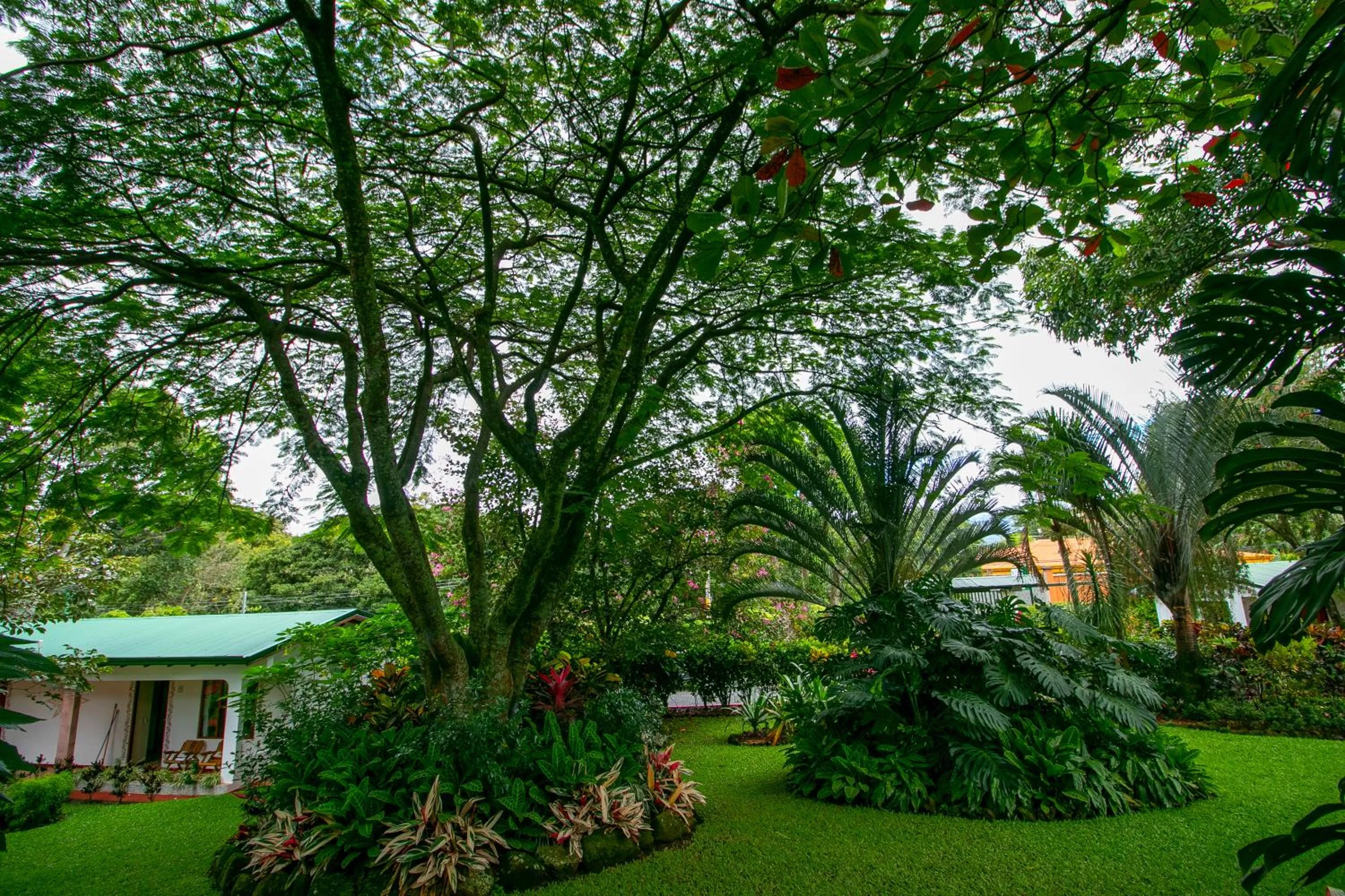 Garden in Hotel La Rosa de America
