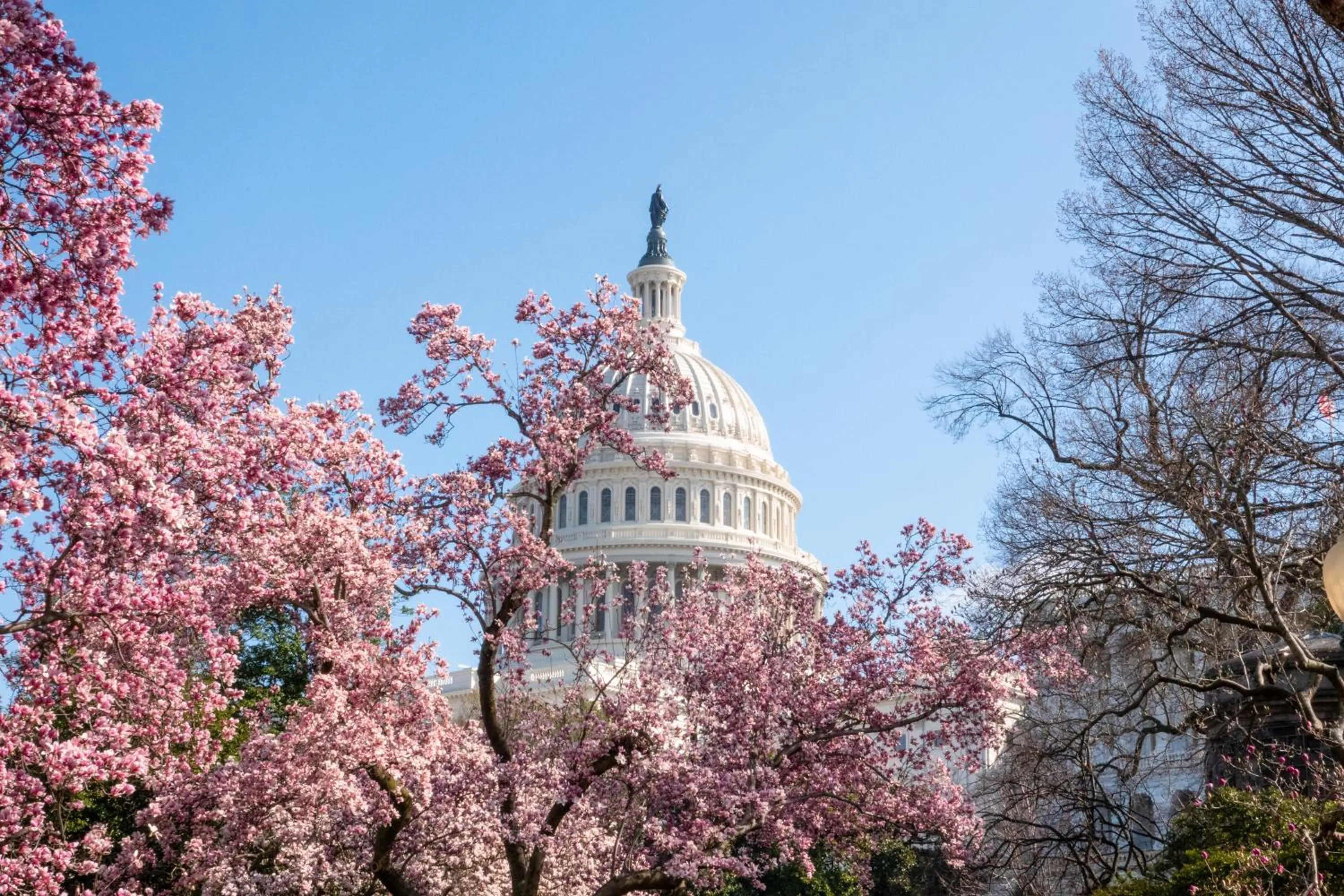 Day in Grand Hyatt Washington