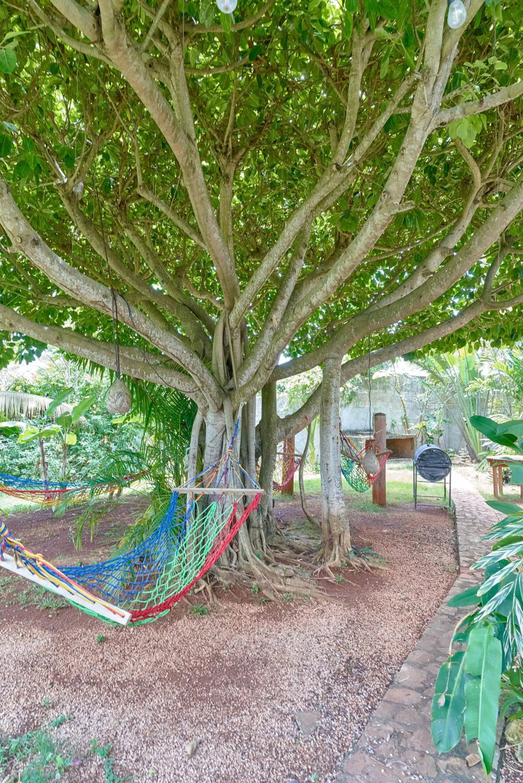 CHALET TROPICAL Hotel & Pool Bar Restaurant