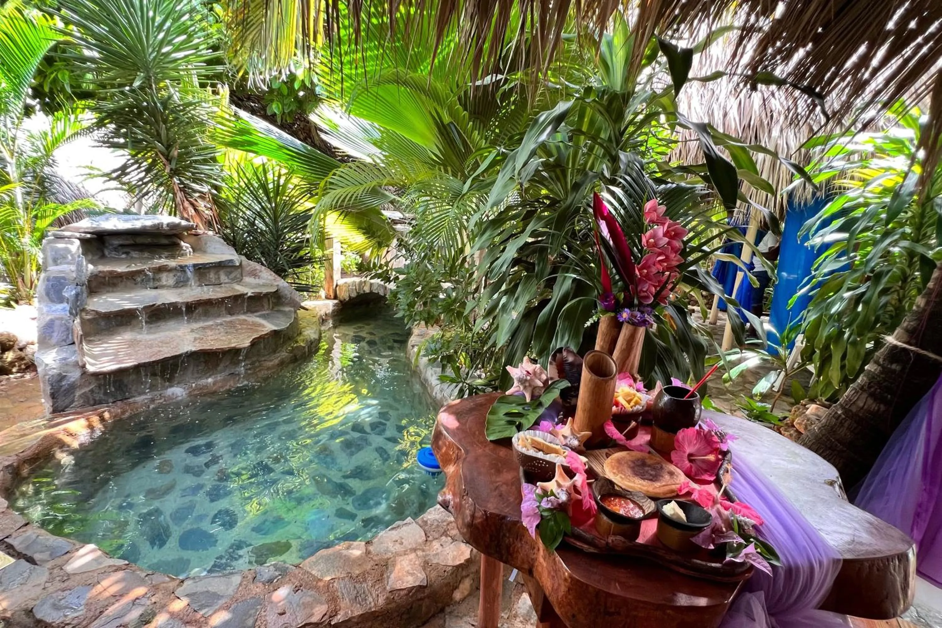 Garden view in CHALET TROPICAL Hotel & Pool Bar Restaurant